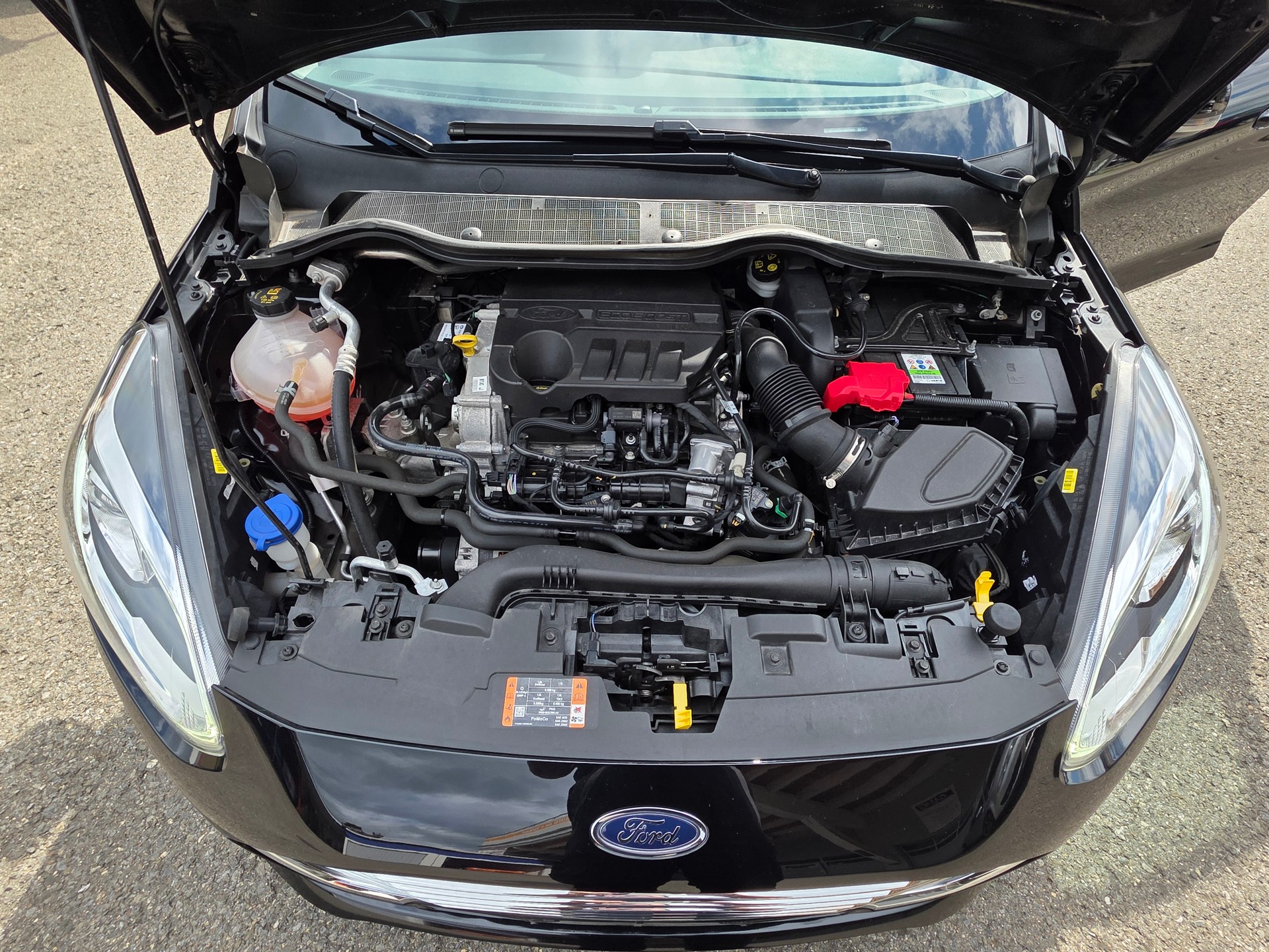 FORD Fiesta 1.0 Titanium X Automat-image-18