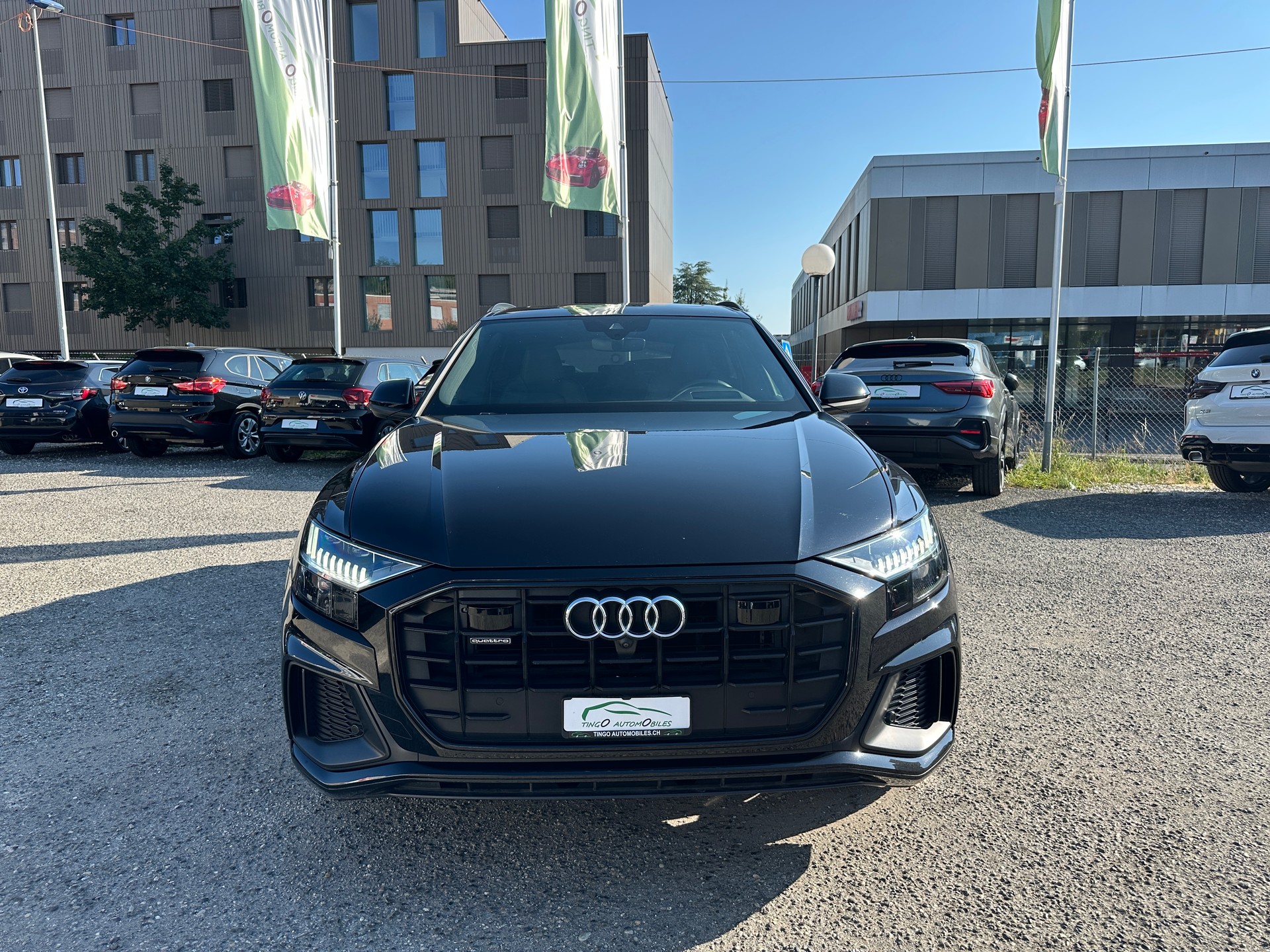 AUDI Q8 50 TDI Black Edition quattro tiptronic-showroom-element-3
