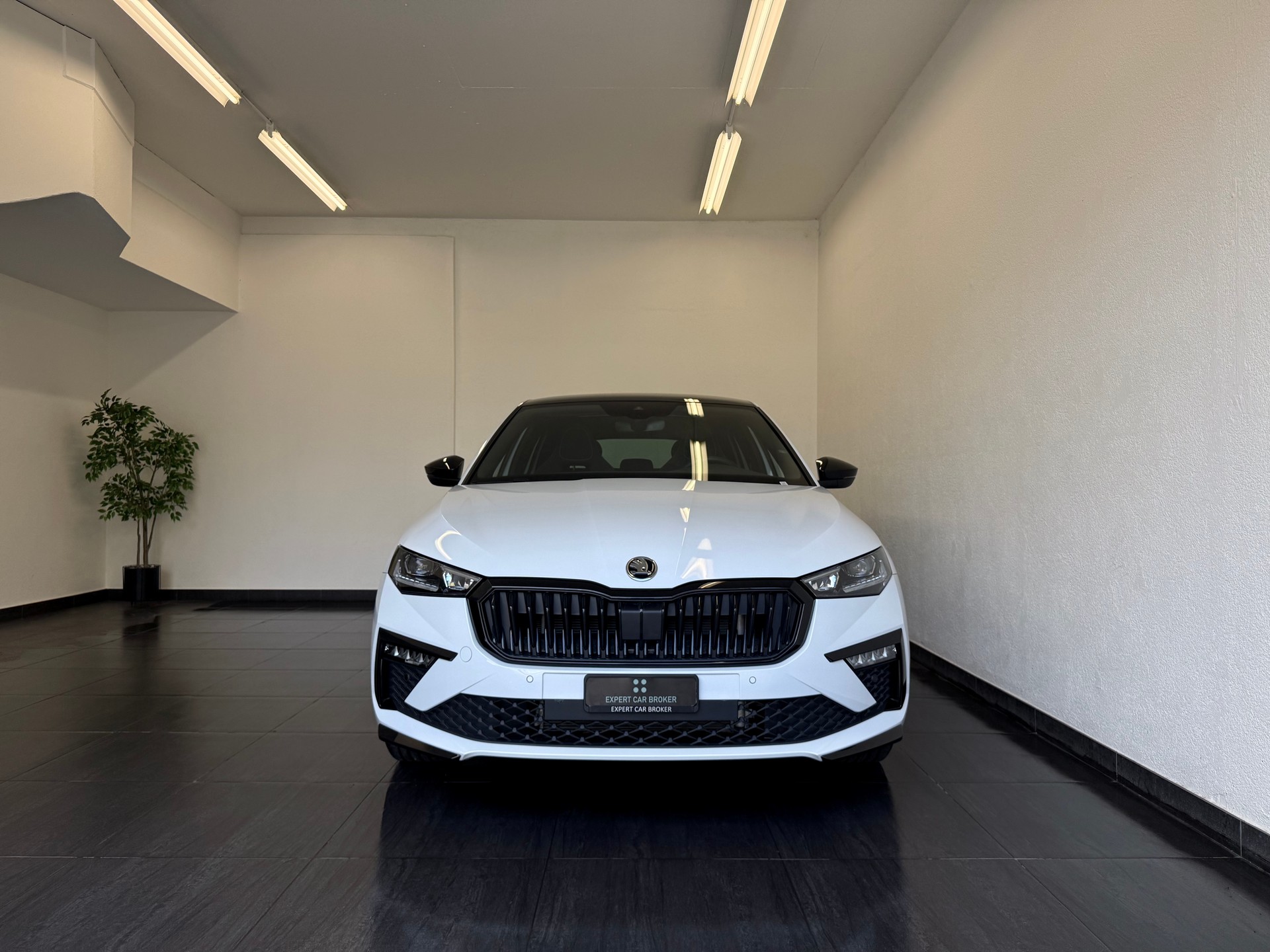 SKODA Scala 1.0 TSI Monte Carlo DSG-showroom-element-3