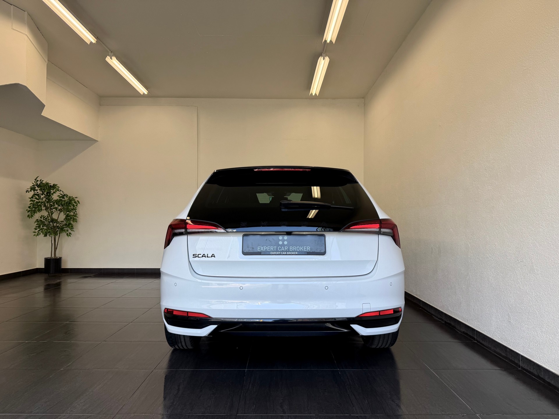 SKODA Scala 1.0 TSI Monte Carlo DSG-image-11