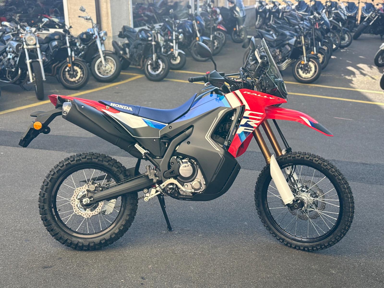 HONDA CRF 300 RL Rally-image-2
