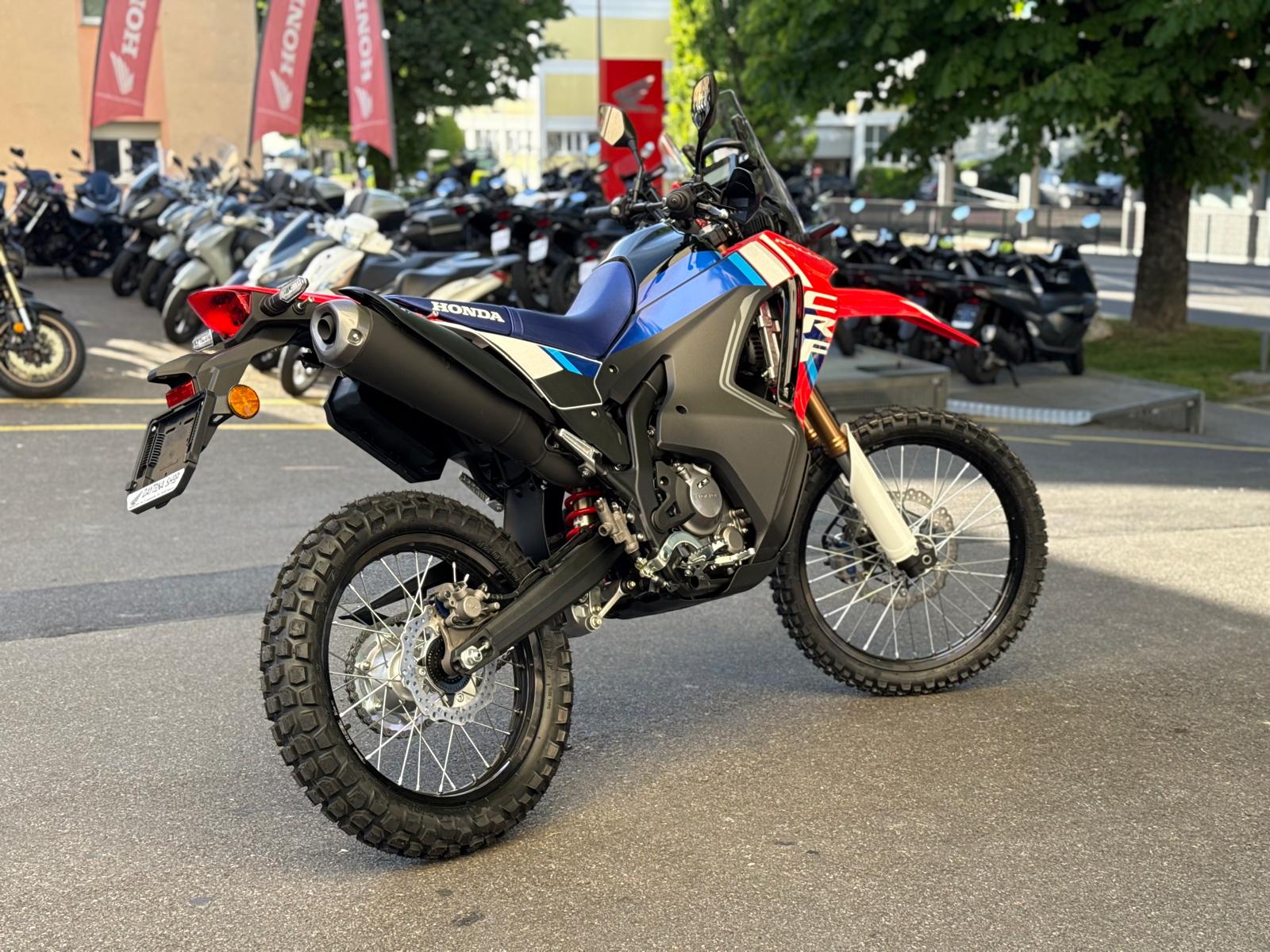 HONDA CRF 300 RL Rally-image-6