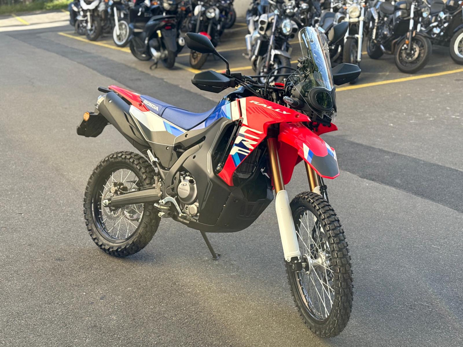 HONDA CRF 300 RL Rally-image-1
