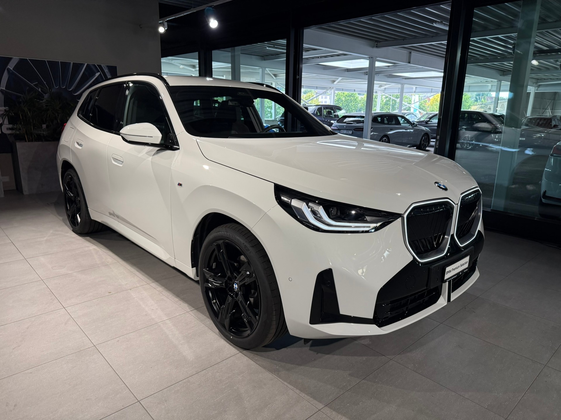 BMW X3 xDrive 20 48V M Sport-showroom-element-1