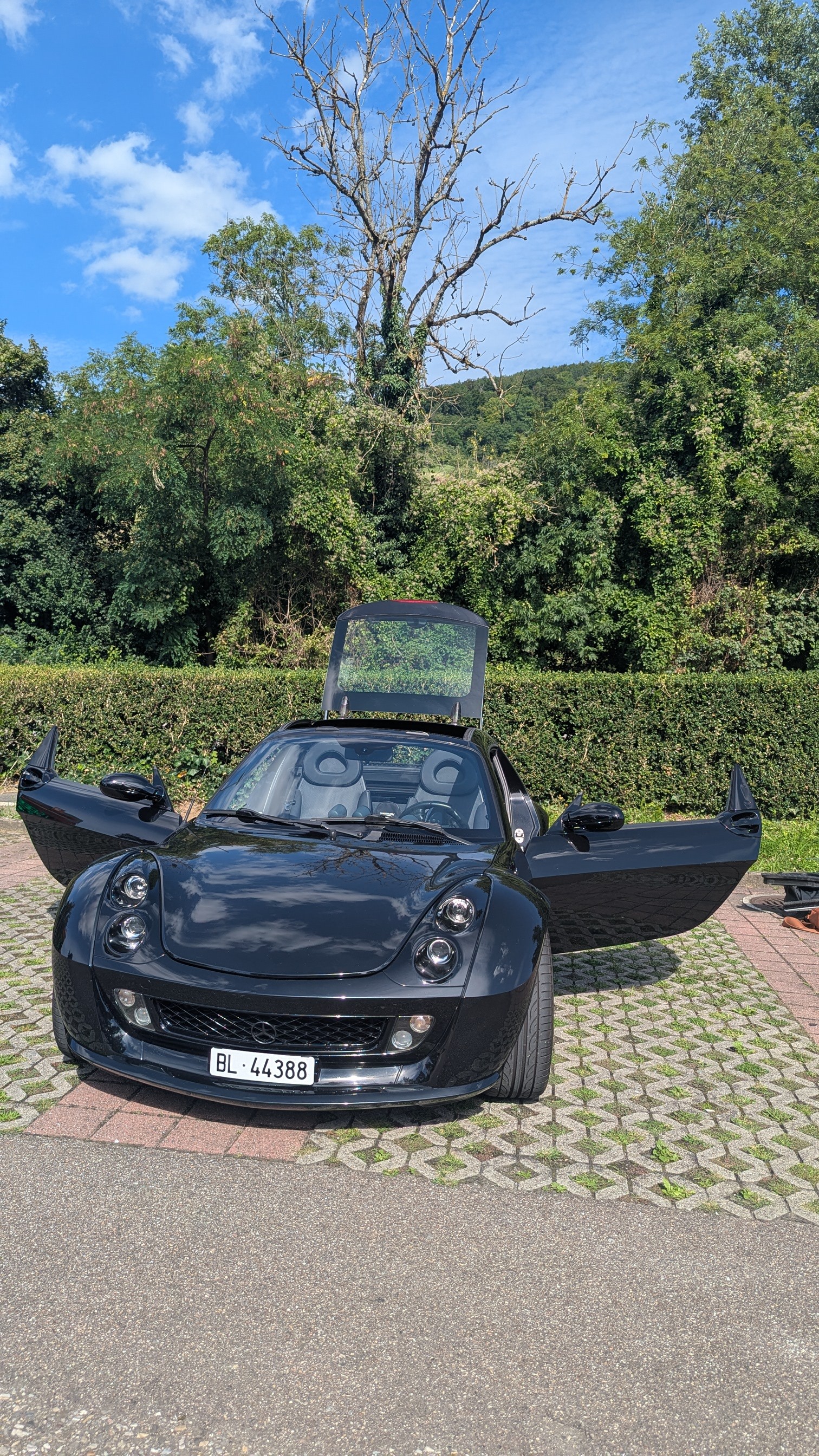 SMART roadster-coupé brabus
