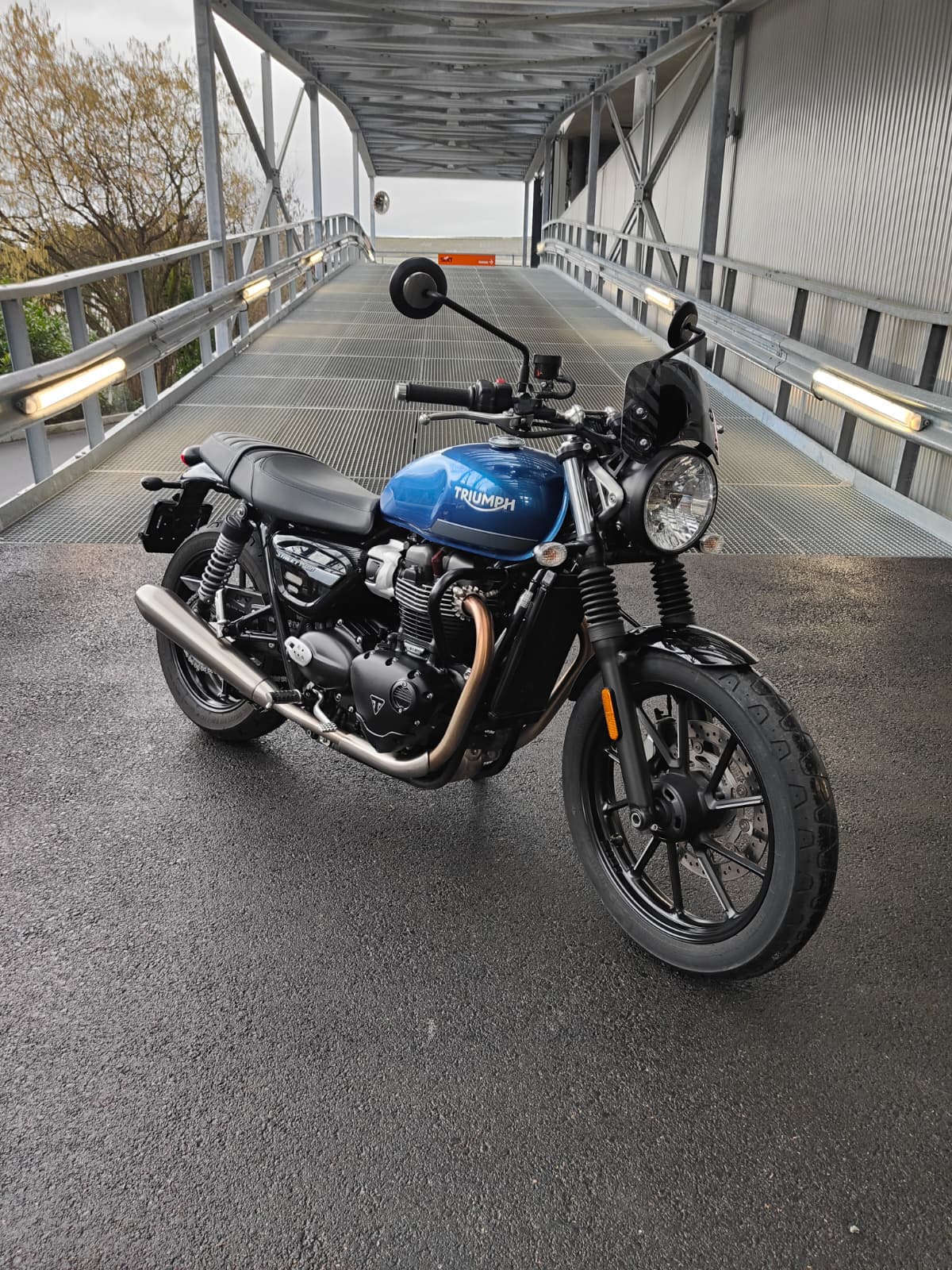 TRIUMPH Street Twin 900 Special Edition-image-3