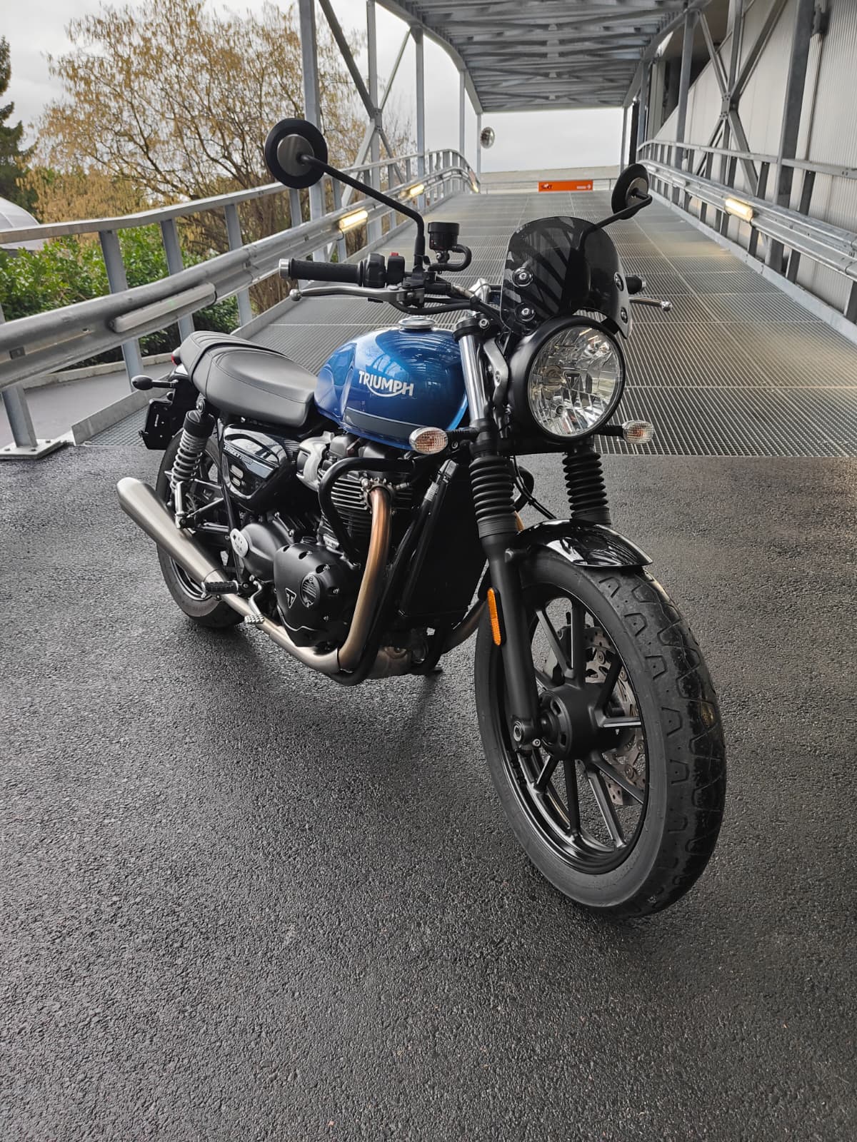 TRIUMPH Street Twin 900 Special Edition-image-6