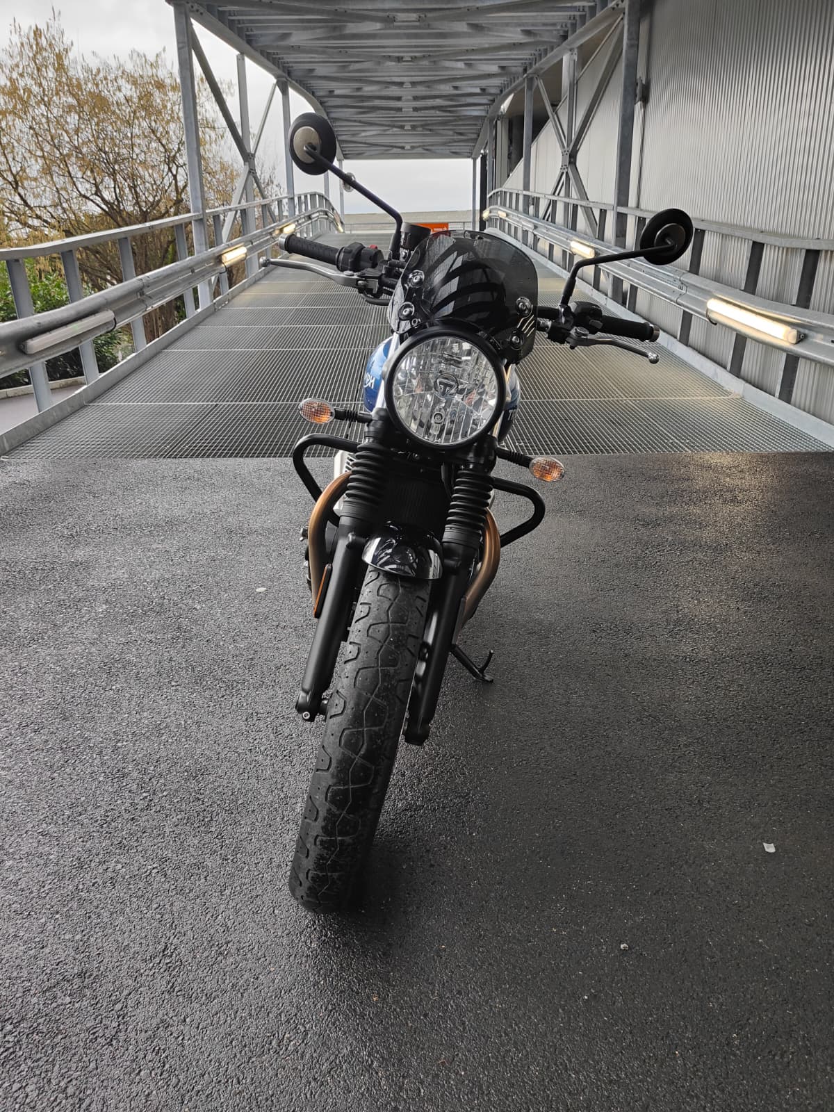 TRIUMPH Street Twin 900 Special Edition-image-1