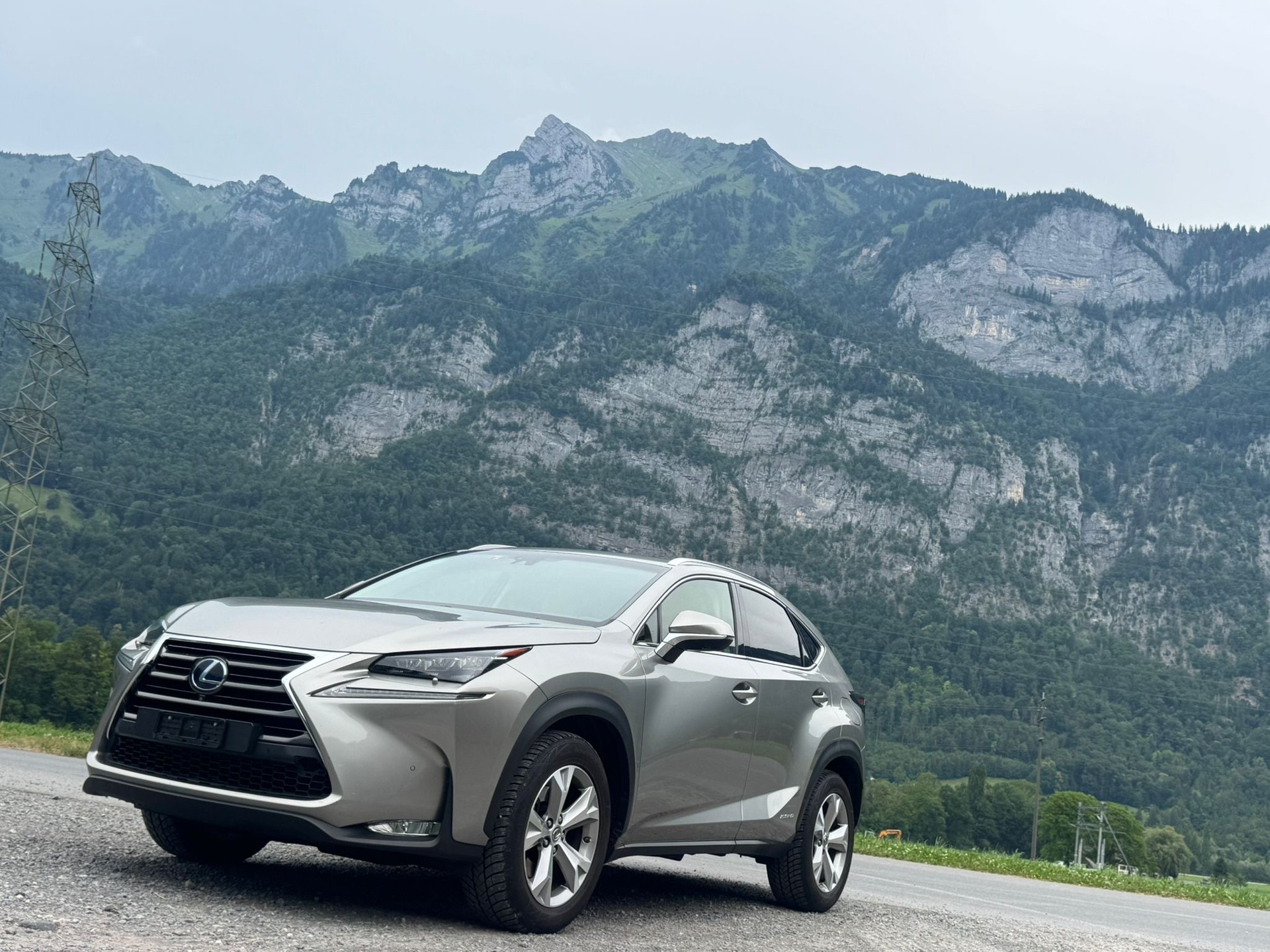 LEXUS NX 300h comfort E-Four Automatic-image-3