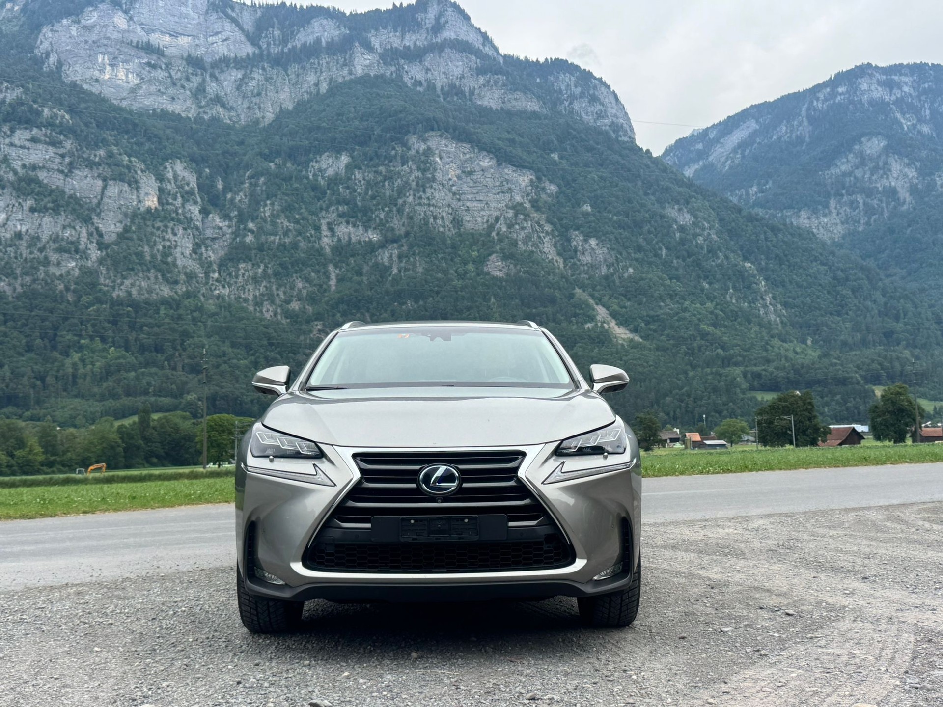 LEXUS NX 300h comfort E-Four Automatic