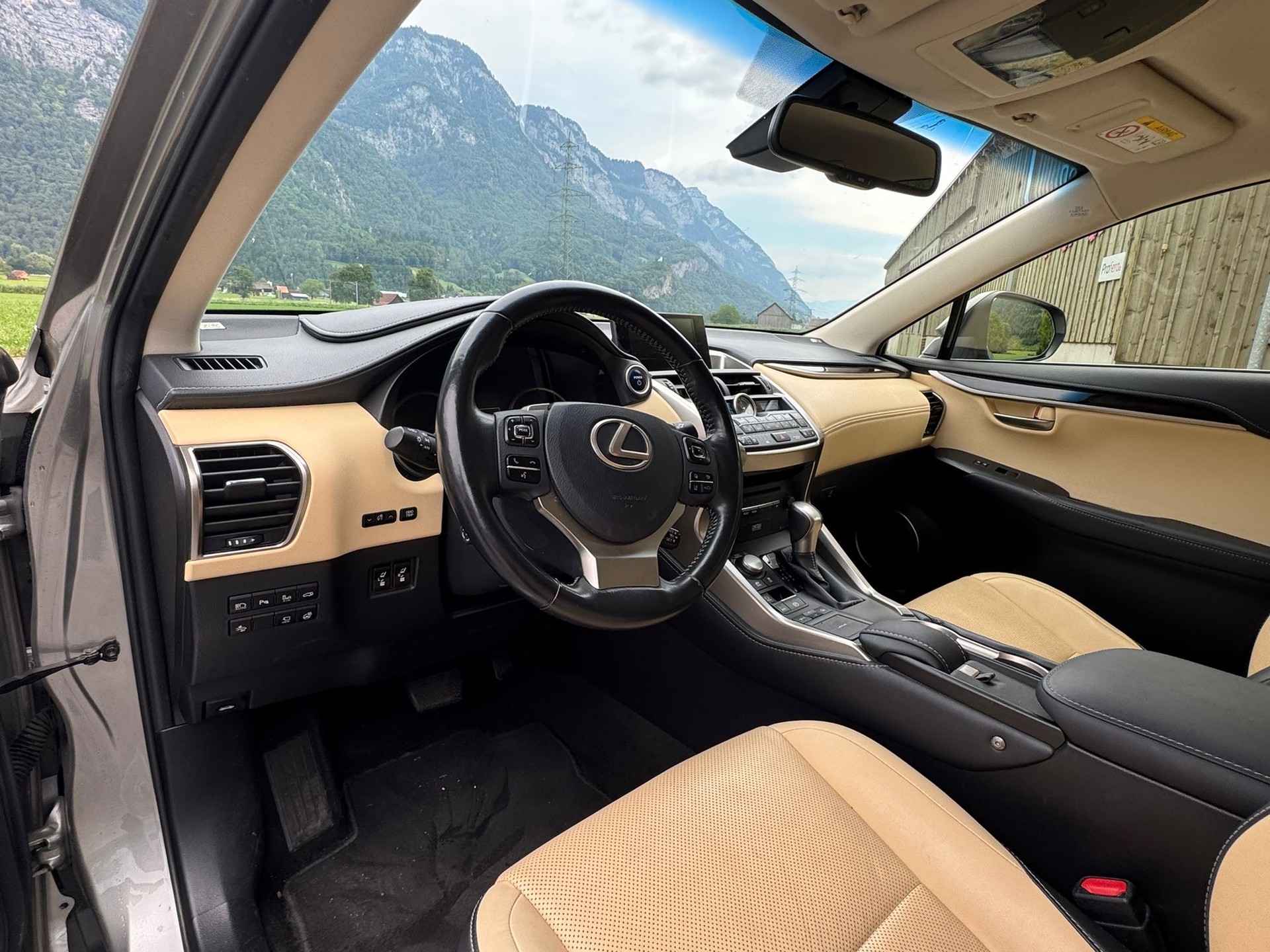 LEXUS NX 300h comfort E-Four Automatic-image-9
