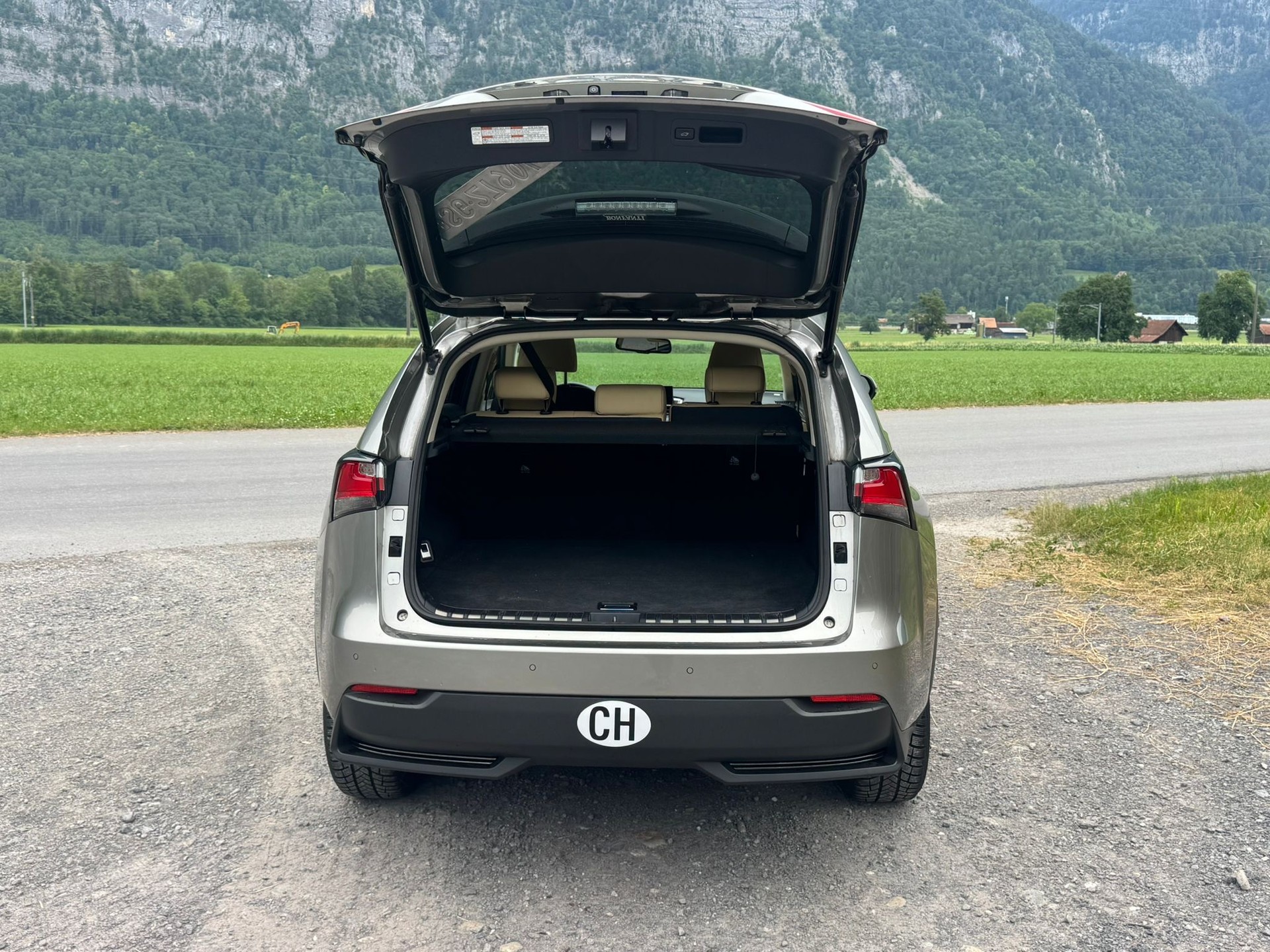 LEXUS NX 300h comfort E-Four Automatic-image-11