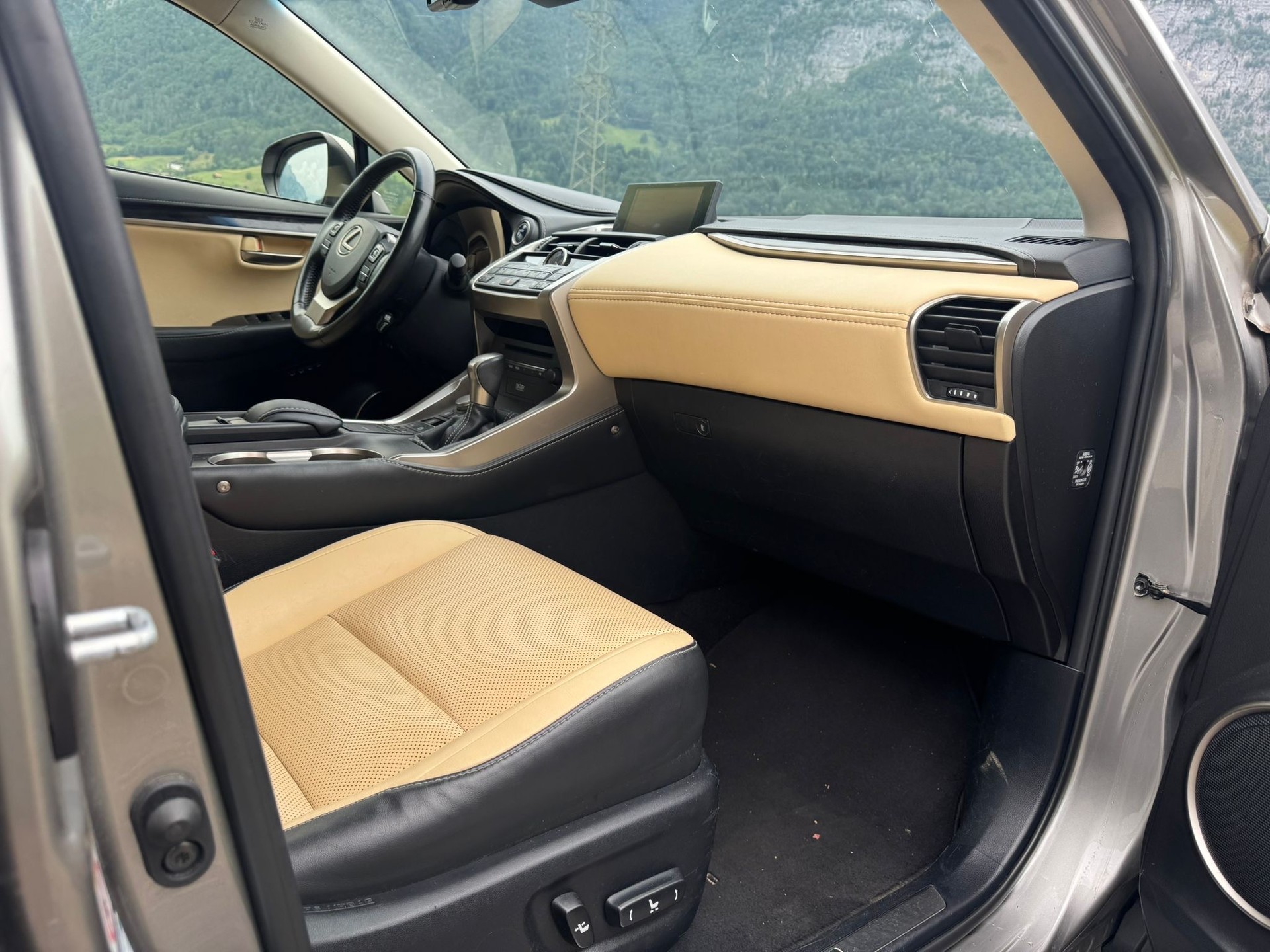 LEXUS NX 300h comfort E-Four Automatic-image-14