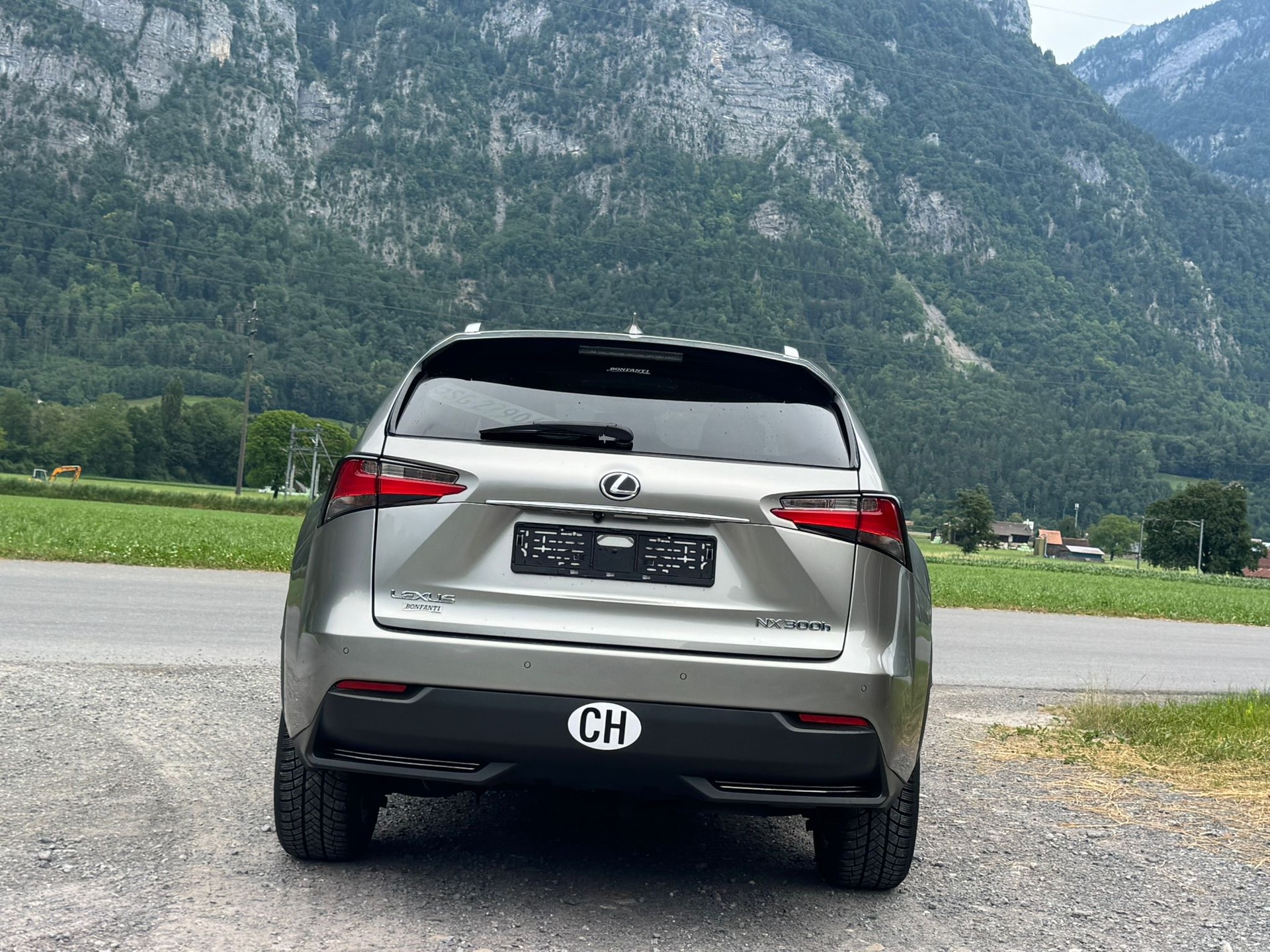 LEXUS NX 300h comfort E-Four Automatic-image-7