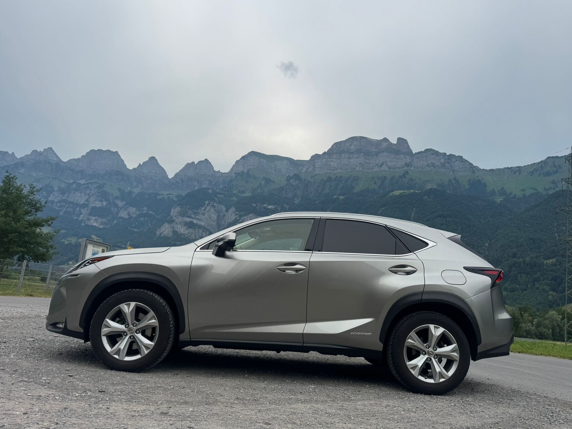 LEXUS NX 300h comfort E-Four Automatic-image-2