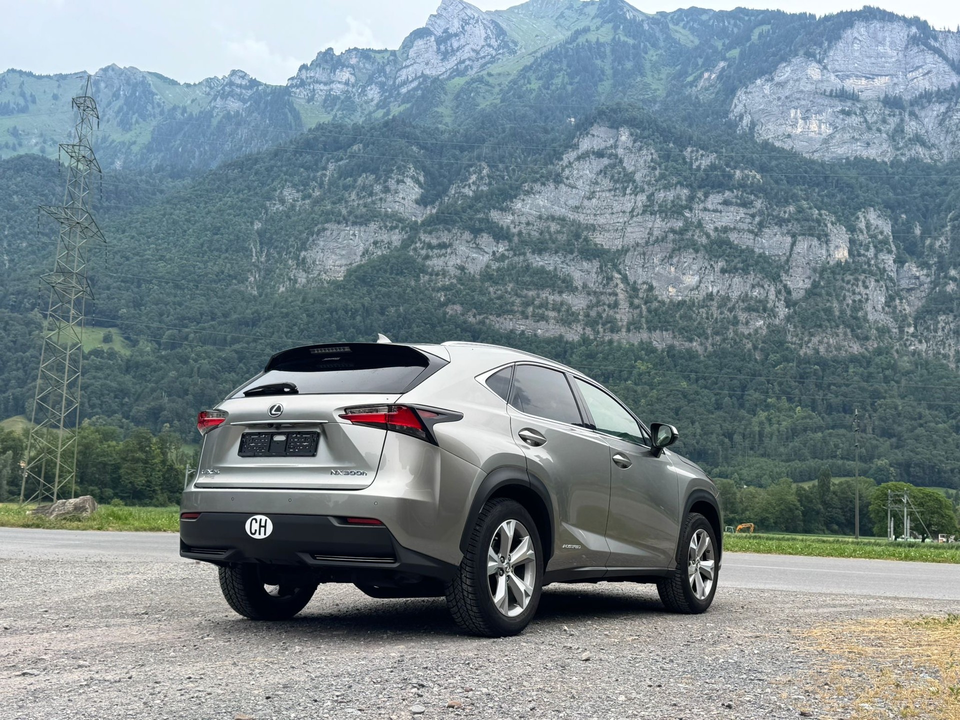 LEXUS NX 300h comfort E-Four Automatic-image-10