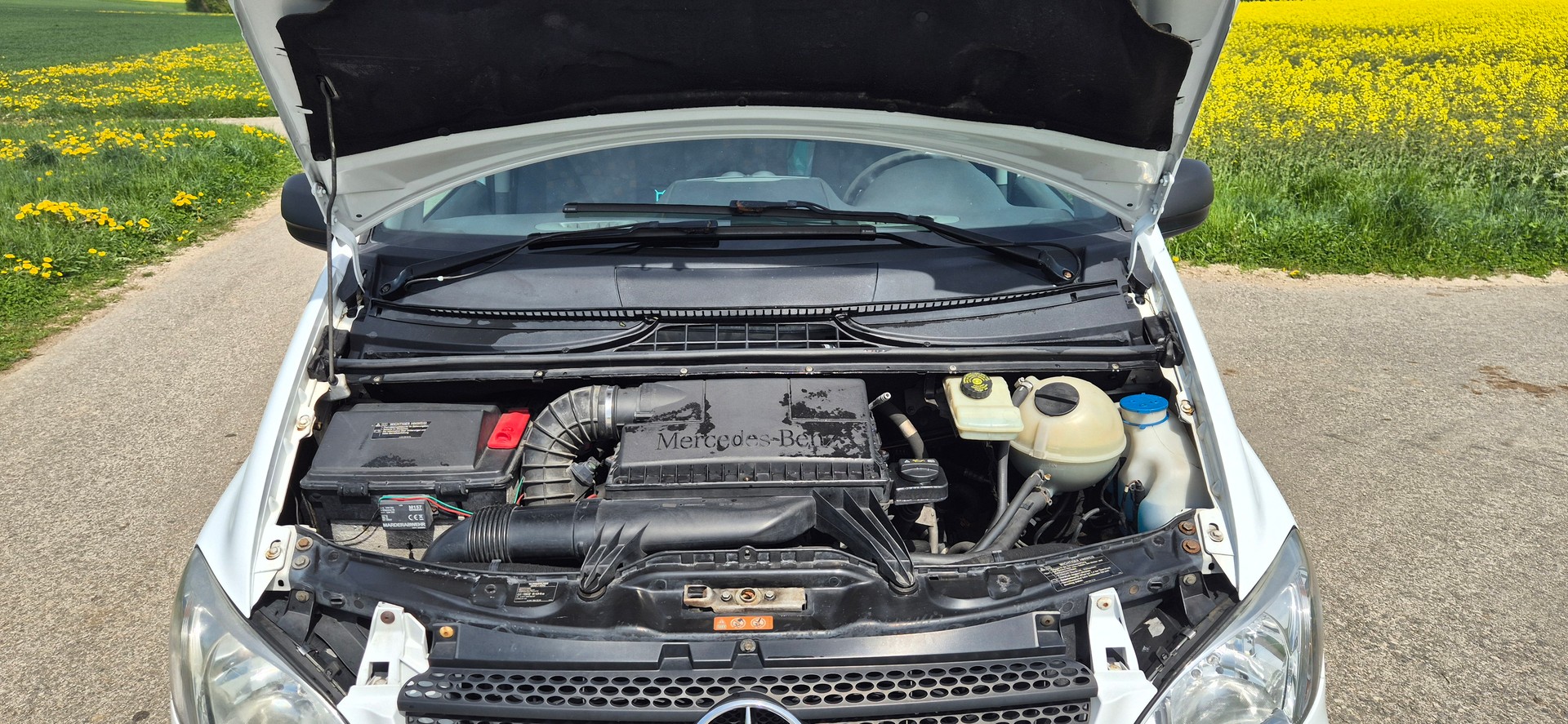 MERCEDES-BENZ 111 CDI-image-2