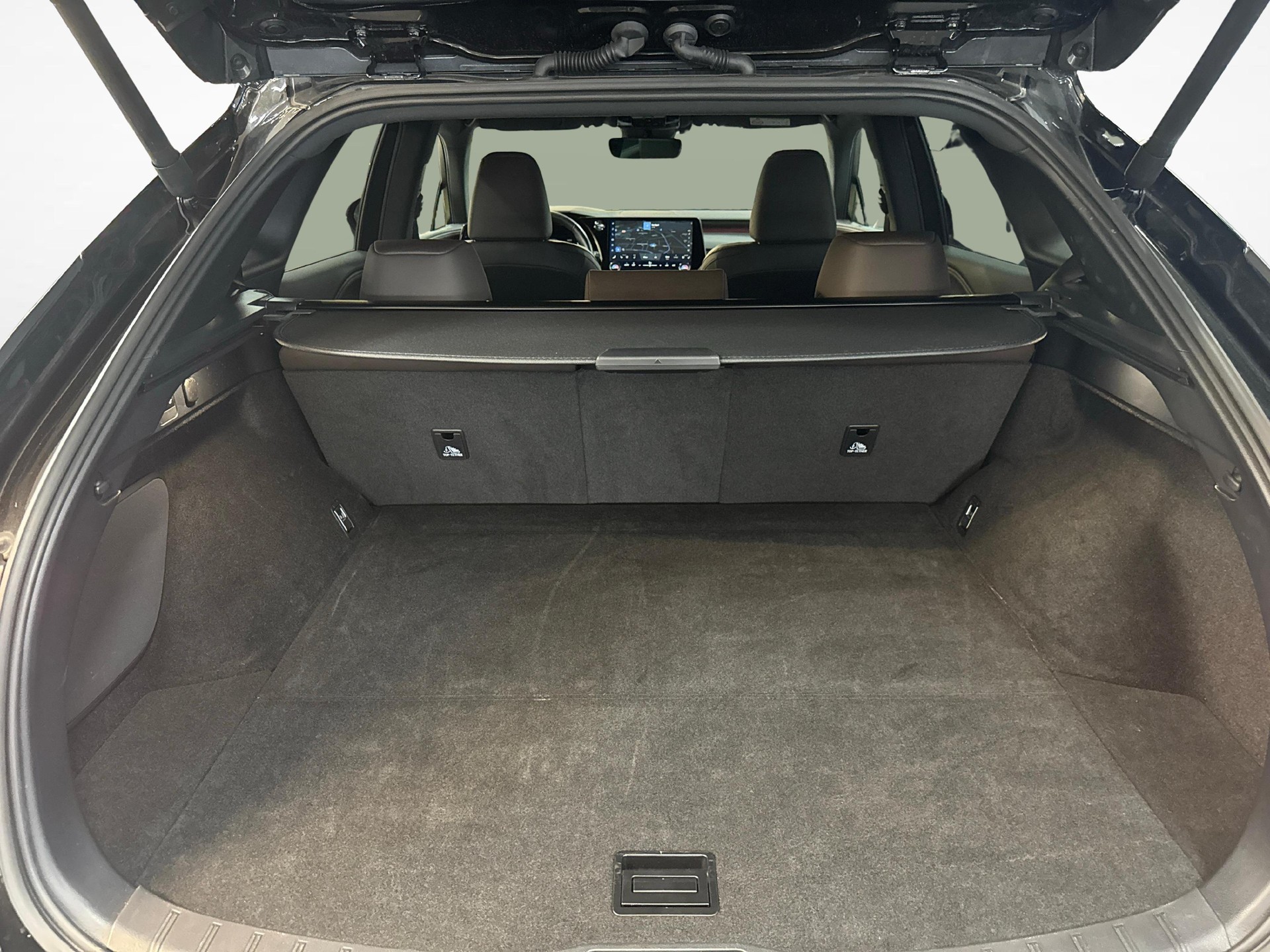 LEXUS RX 350h F-Line-image-11