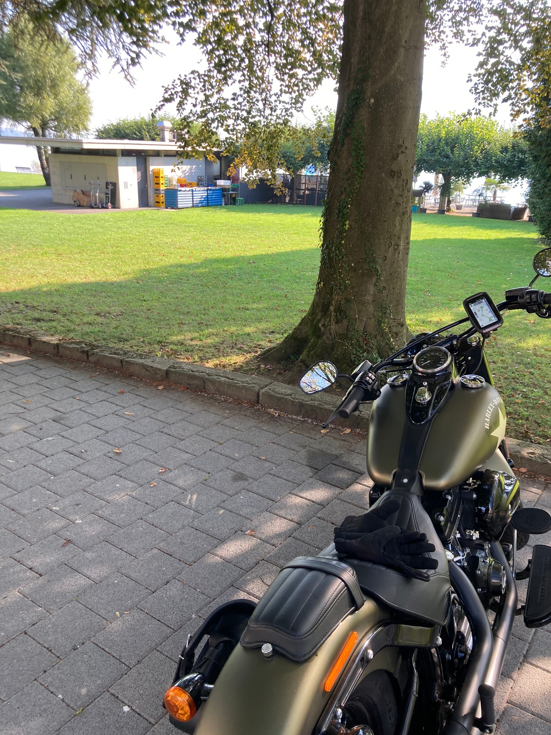 HARLEY-DAVIDSON FLSS Softail Slim S110 ABS-image-4