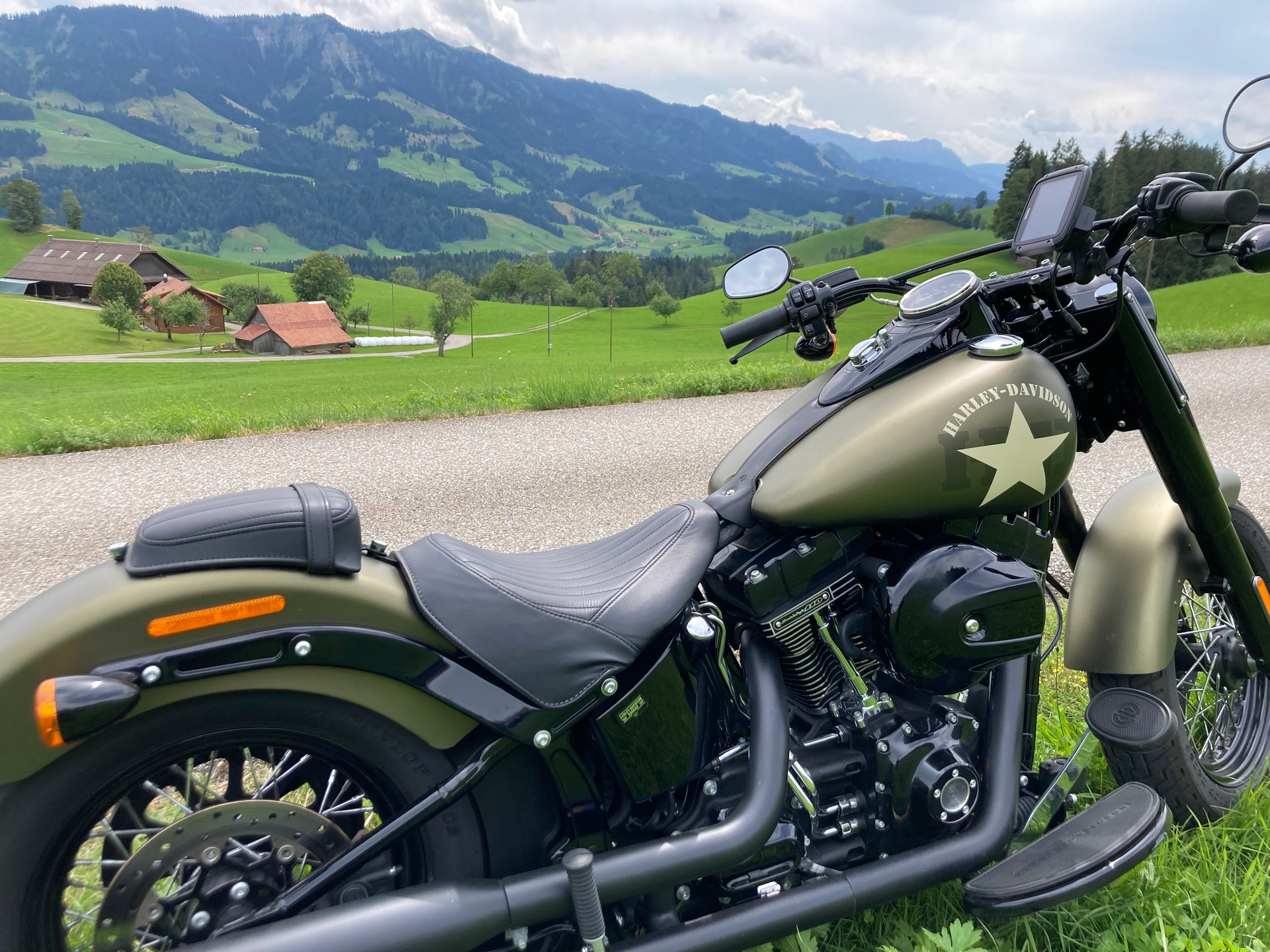 HARLEY-DAVIDSON FLSS Softail Slim S110 ABS-image-1