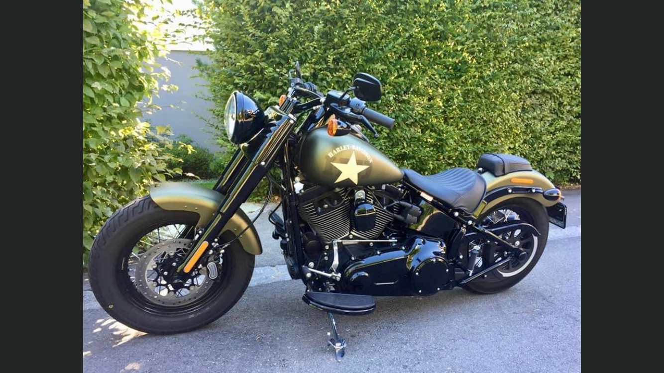 HARLEY-DAVIDSON FLSS Softail Slim S110 ABS-image-0