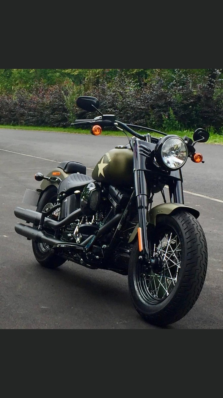 HARLEY-DAVIDSON FLSS Softail Slim S110 ABS-image-2