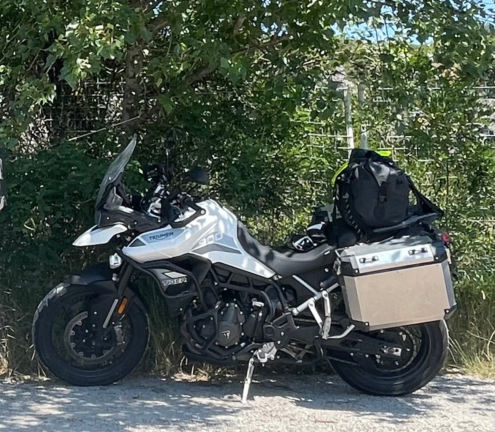 TRIUMPH Tiger 900 GT Pro-image-9