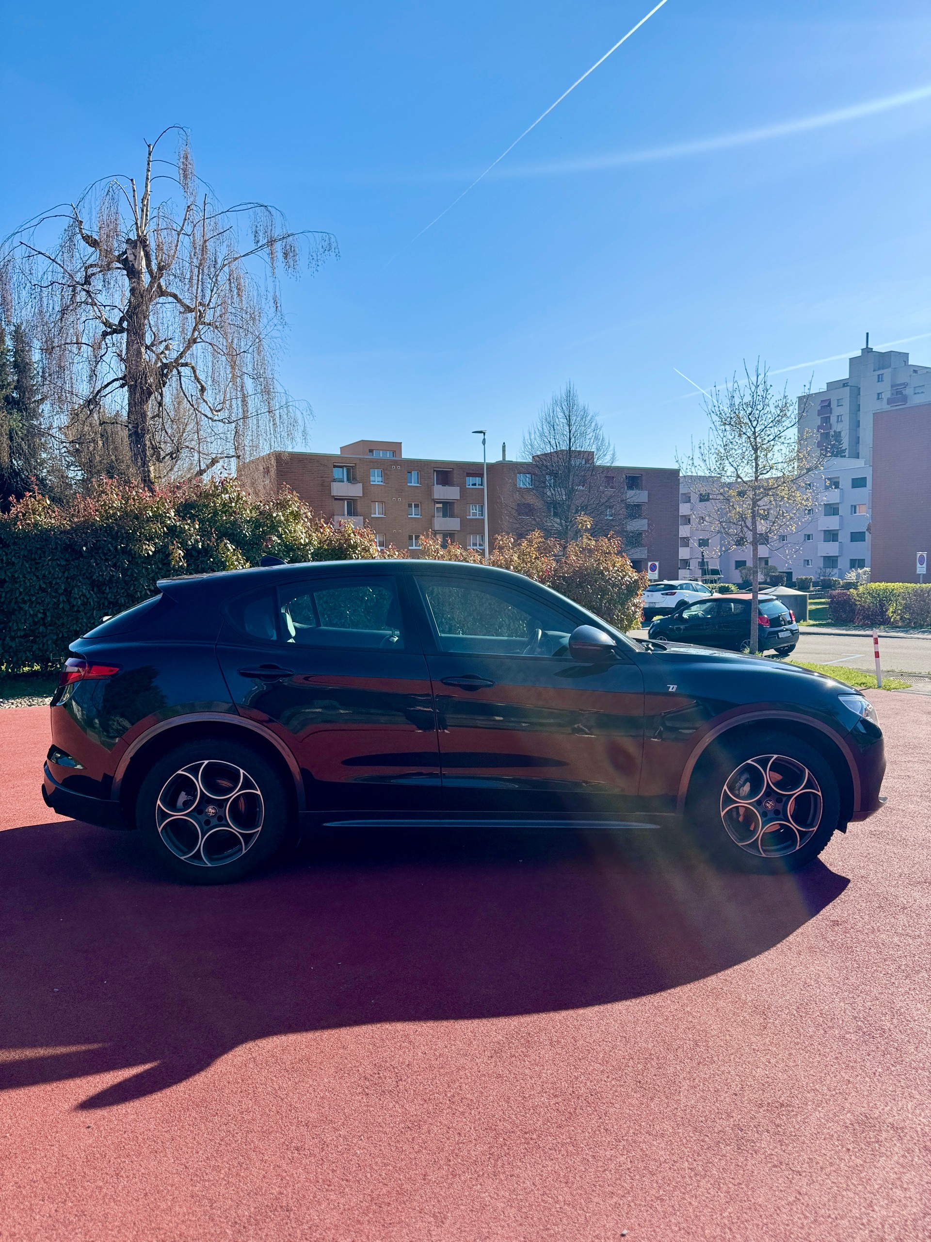 ALFA ROMEO Stelvio 2.0 TI Q4-image-3