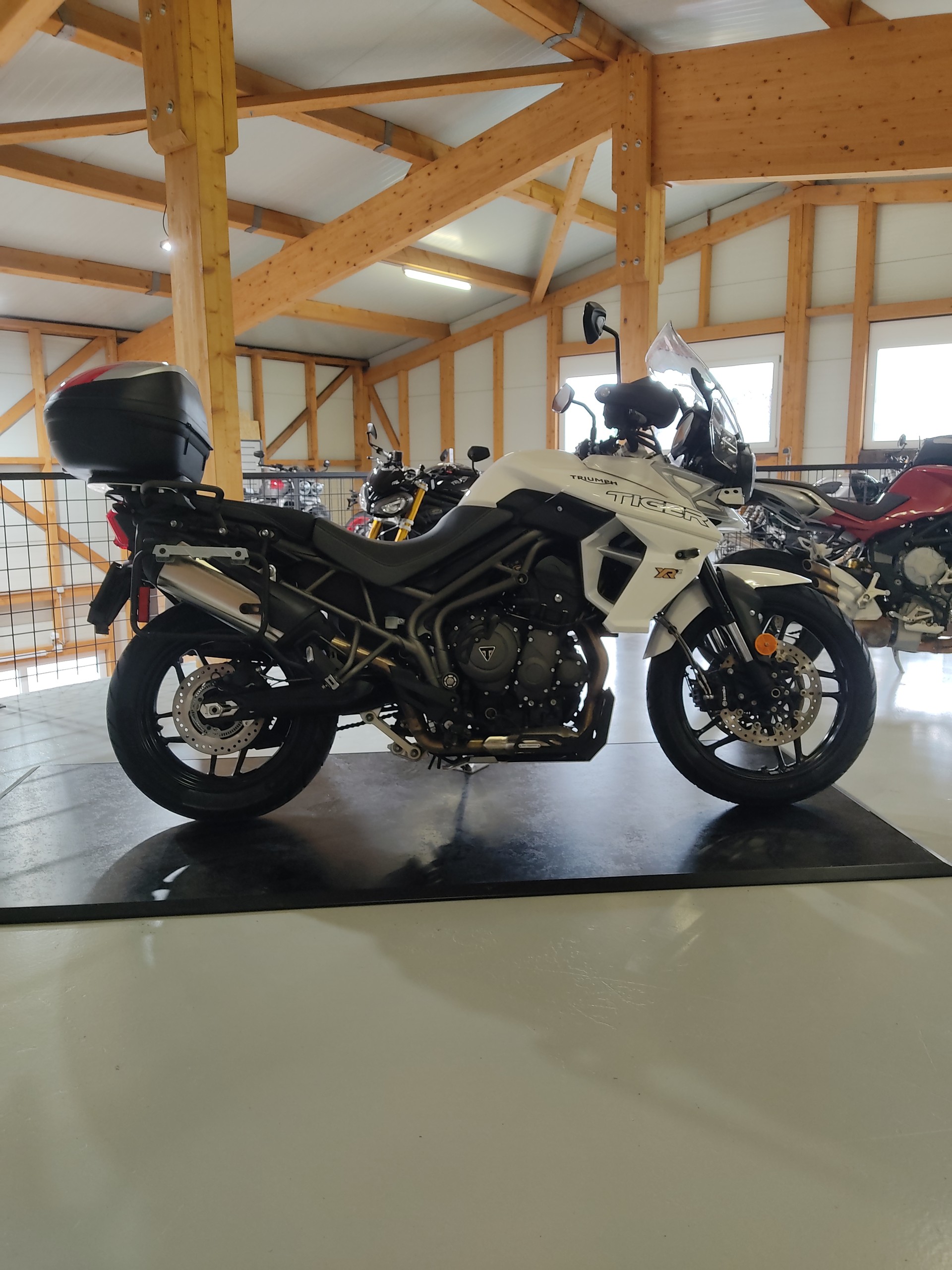 TRIUMPH Tiger 800 XCa ABS-image-0