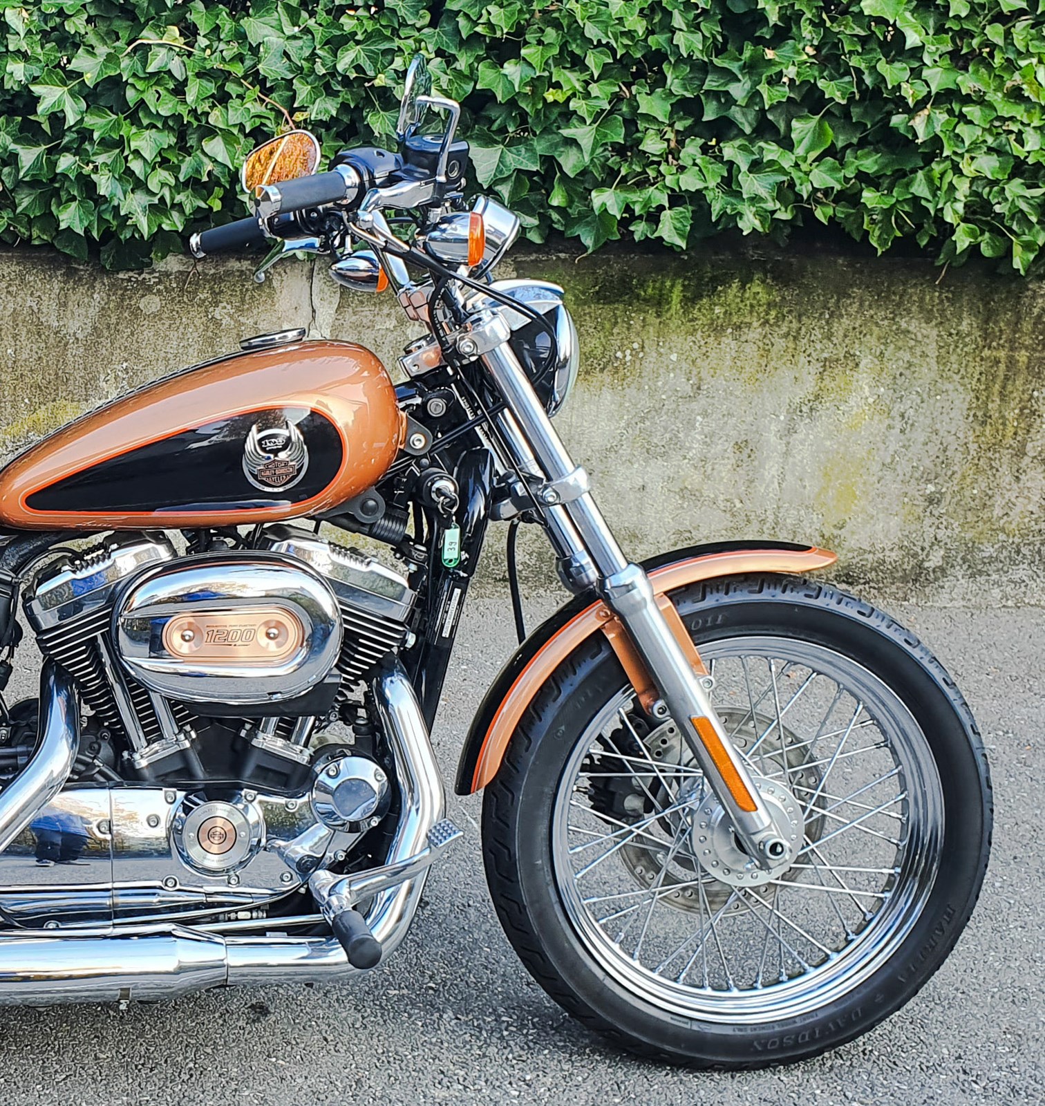 HARLEY-DAVIDSON XL 1200 L Sportster Low Injection-image-13