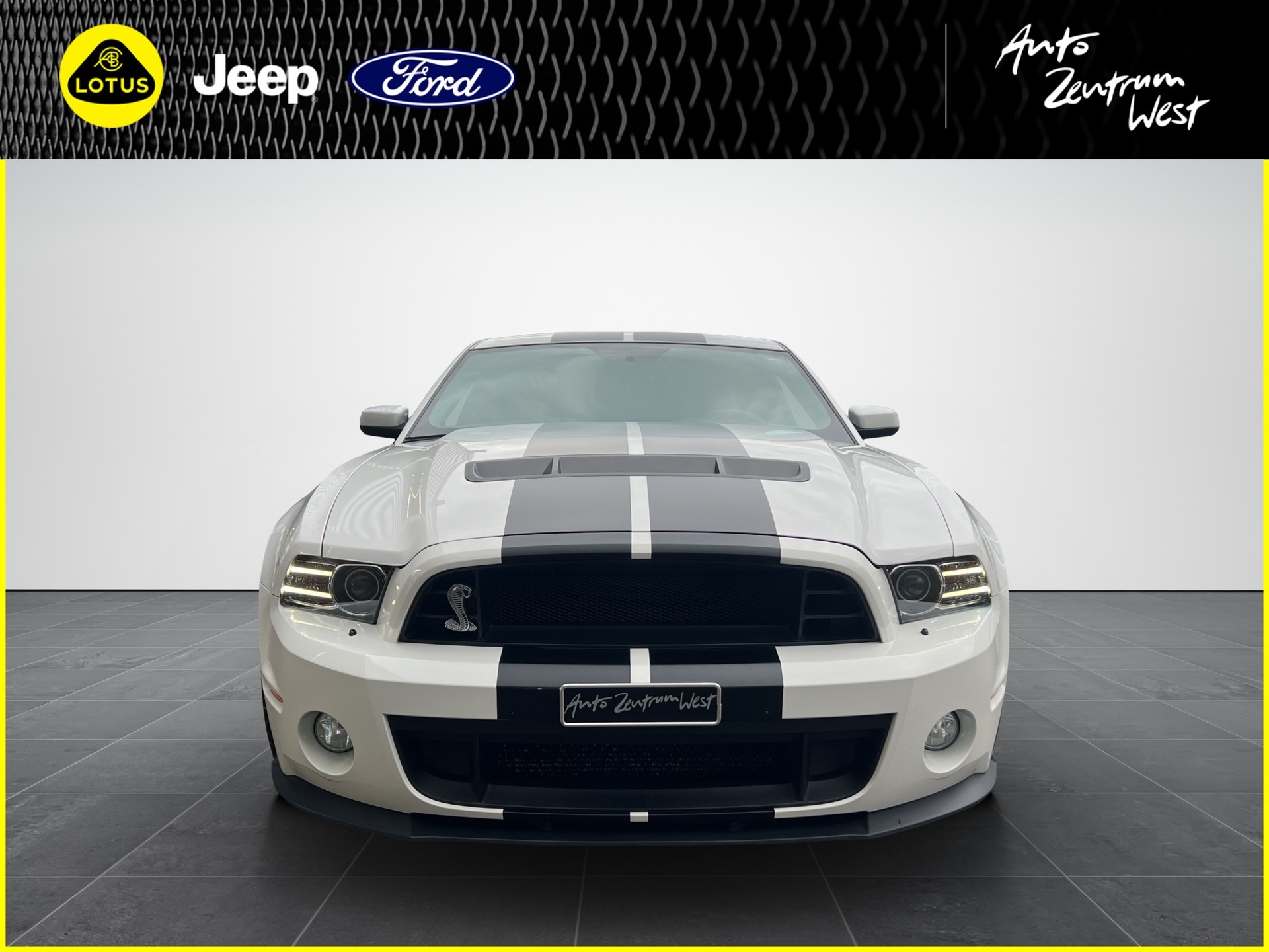 FORD Shelby GT500-image-3