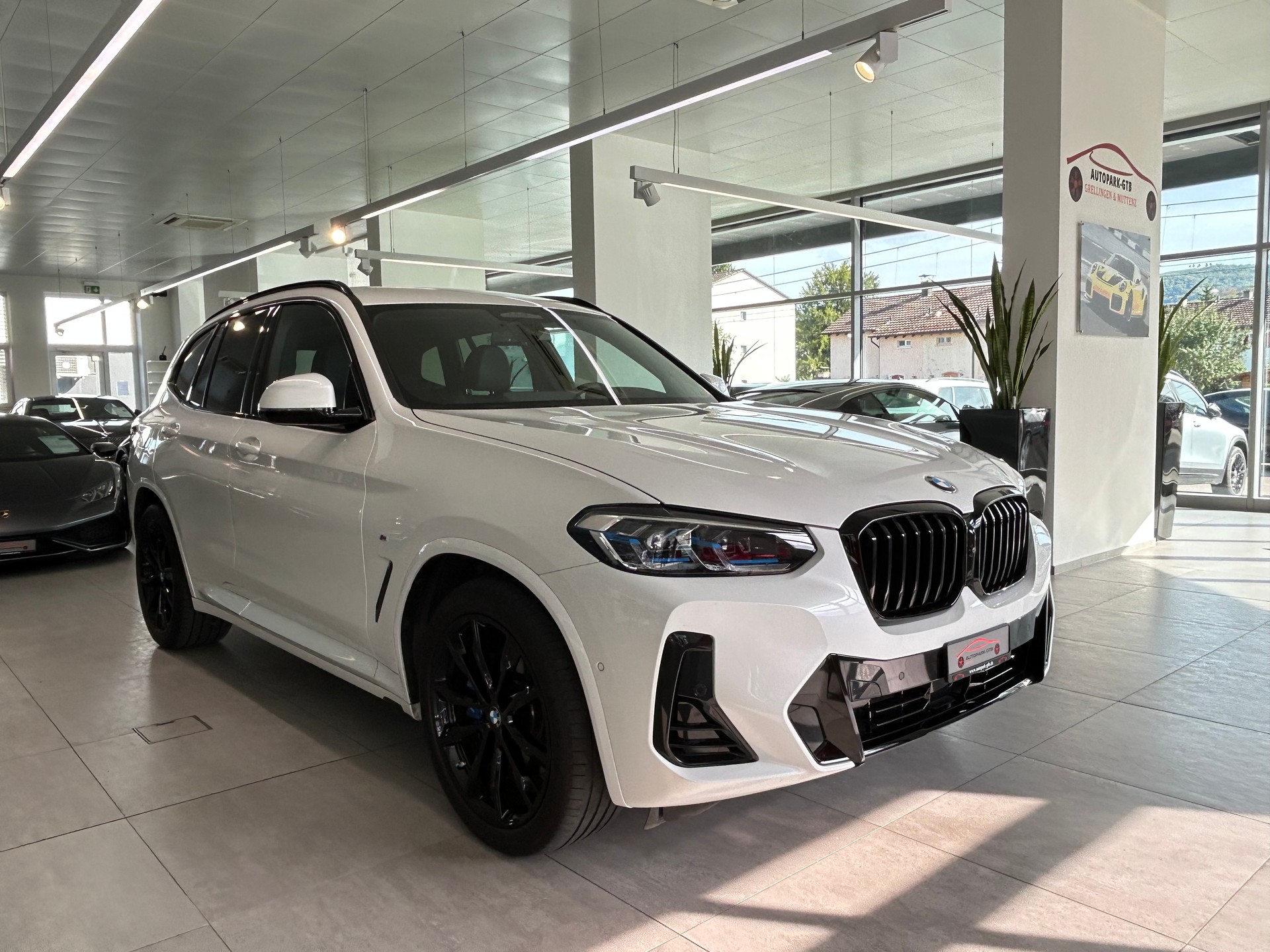 BMW X3 xDrive 48V 30d M Sport-showroom-element-1