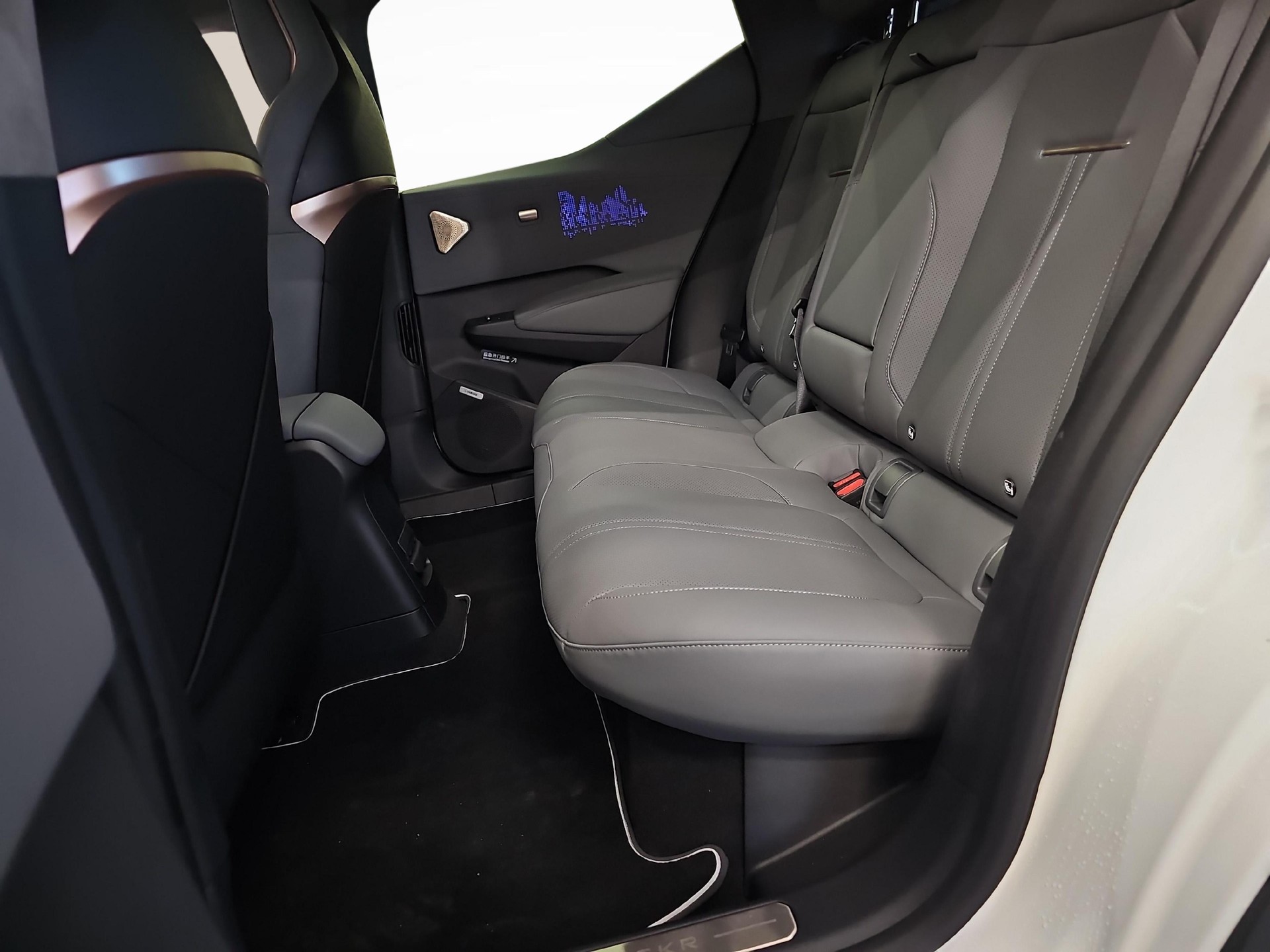 ZEEKR X Privilege AWD-image-10