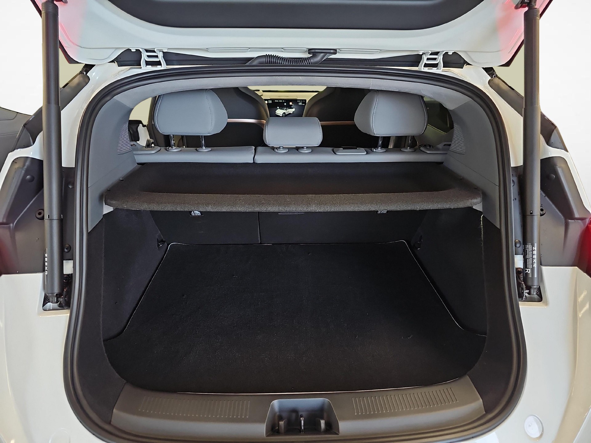 ZEEKR X Privilege AWD-image-11