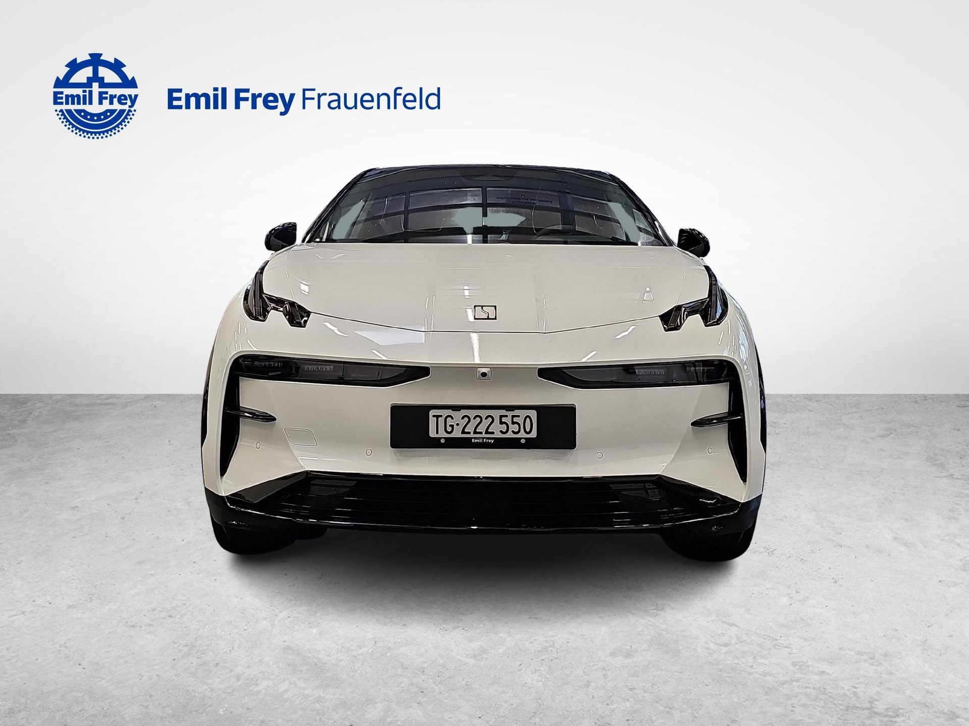 ZEEKR X Privilege AWD-image-7