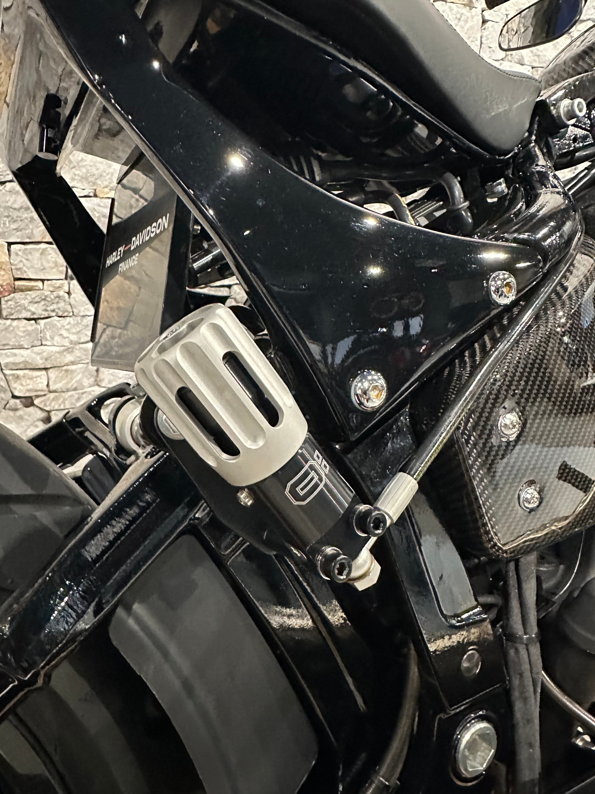HARLEY-DAVIDSON FXLRS Low Rider S 117-image-5