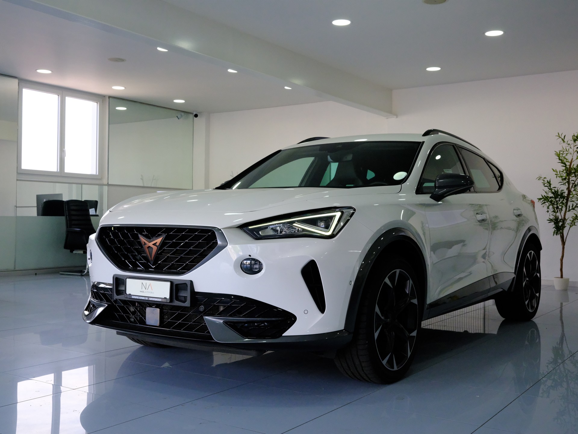 CUPRA Formentor 2.0TSI 4Drive DSG-showroom-element-3