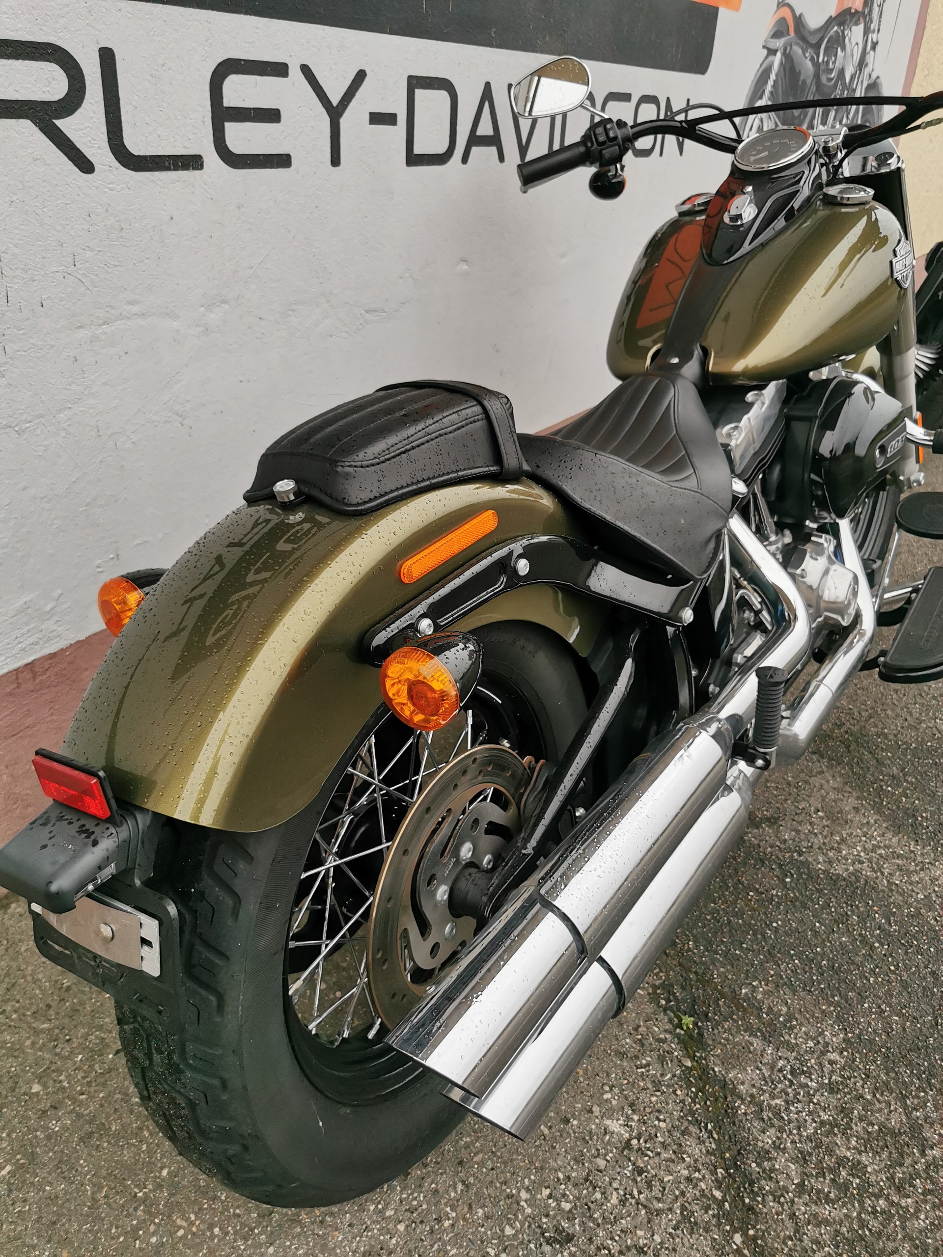 HARLEY-DAVIDSON FLS Softail Slim ABS-image-3