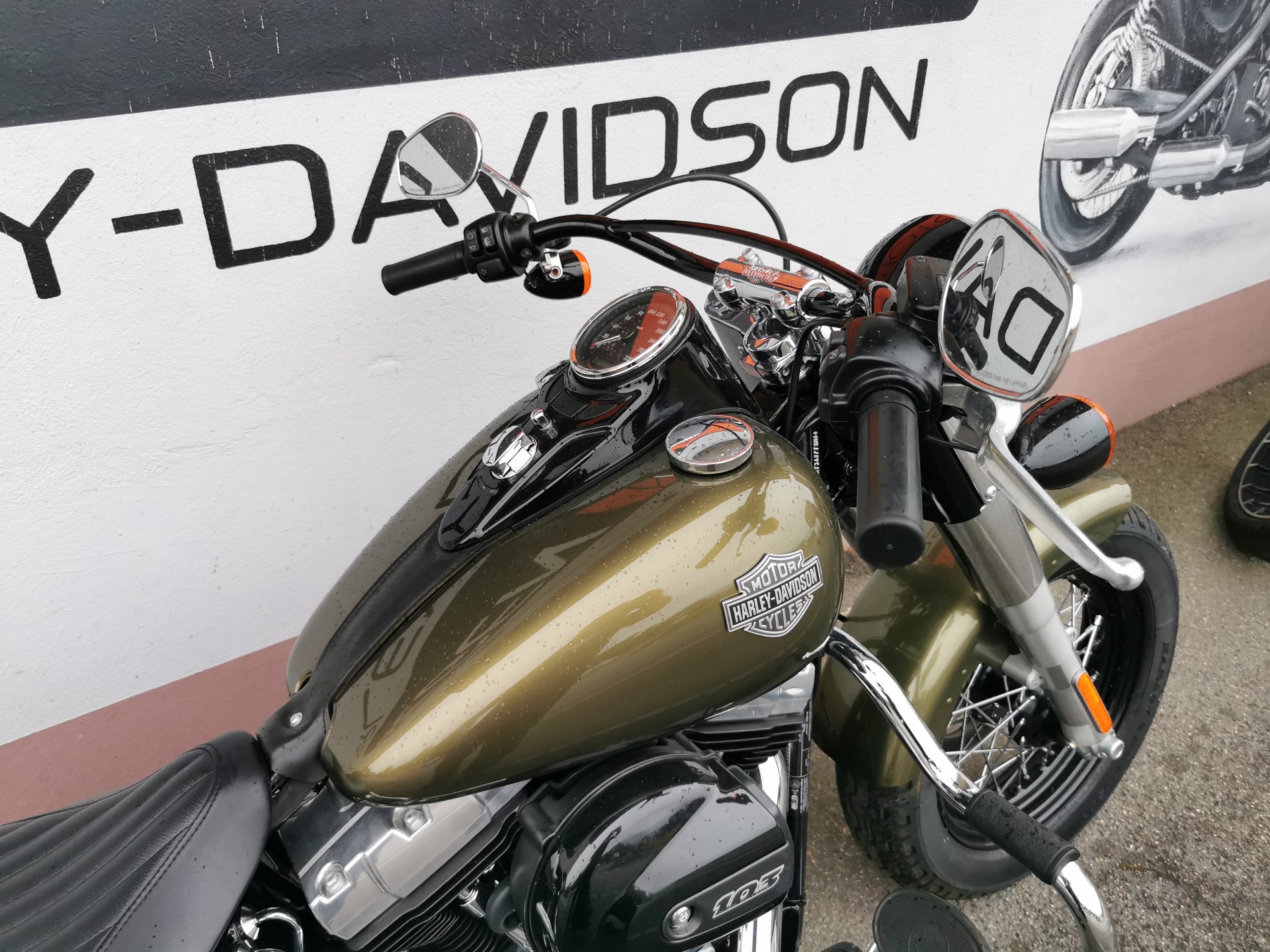 HARLEY-DAVIDSON FLS Softail Slim ABS-image-2