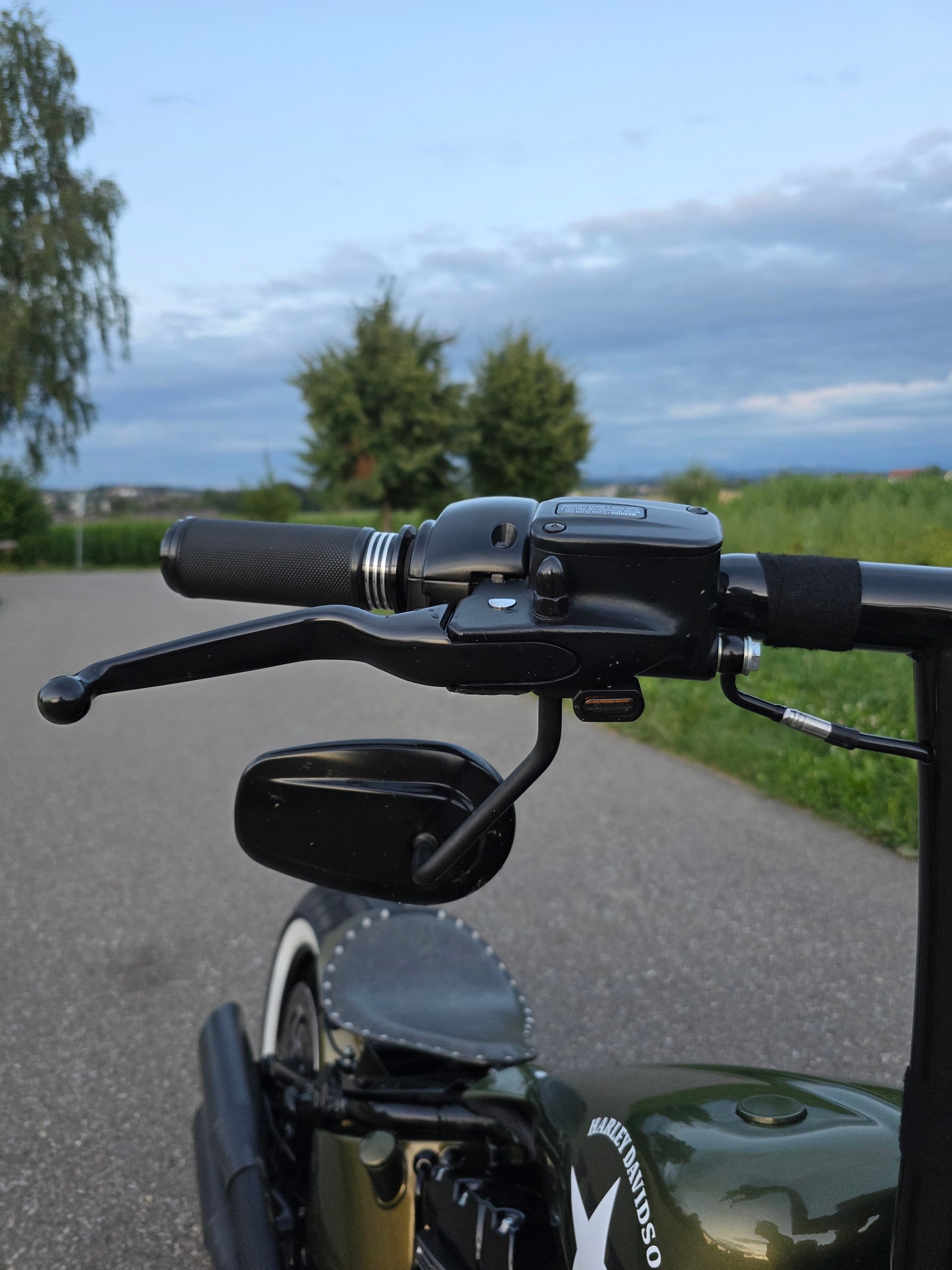 HARLEY-DAVIDSON SLIM S Bündnerbike Umbau-image-8
