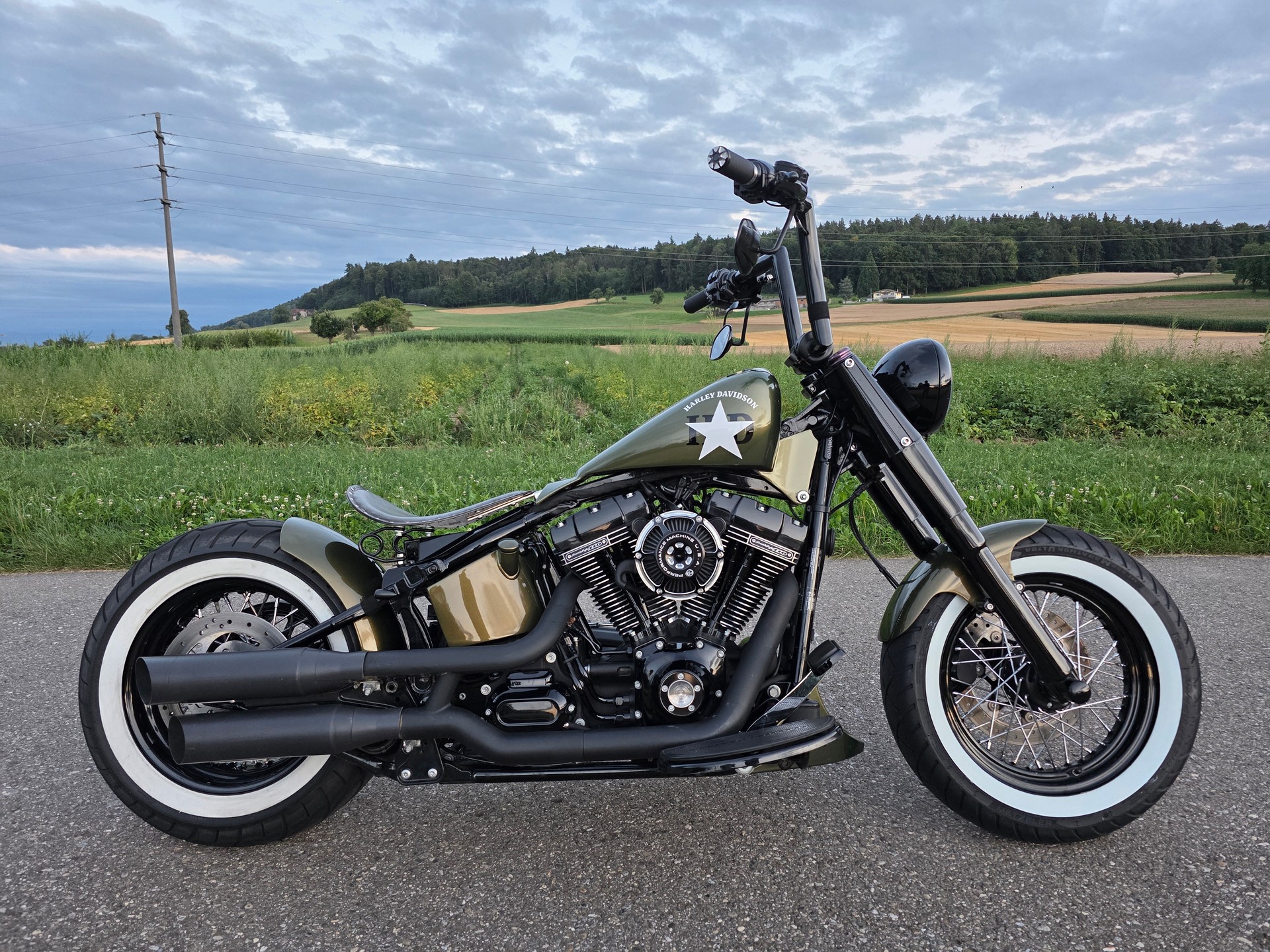 HARLEY-DAVIDSON SLIM S Bündnerbike Umbau-image-1