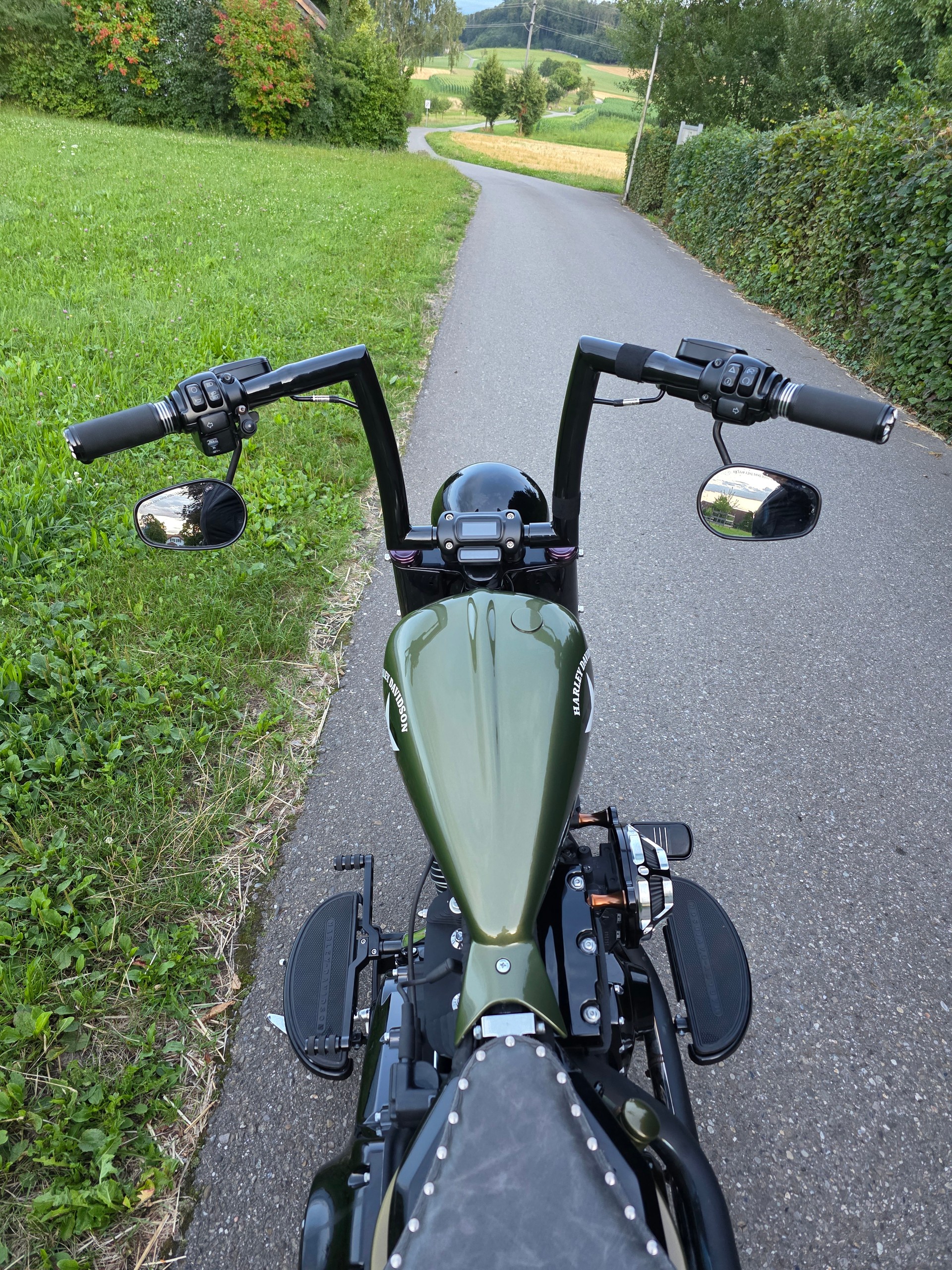 HARLEY-DAVIDSON SLIM S Bündnerbike Umbau-image-3