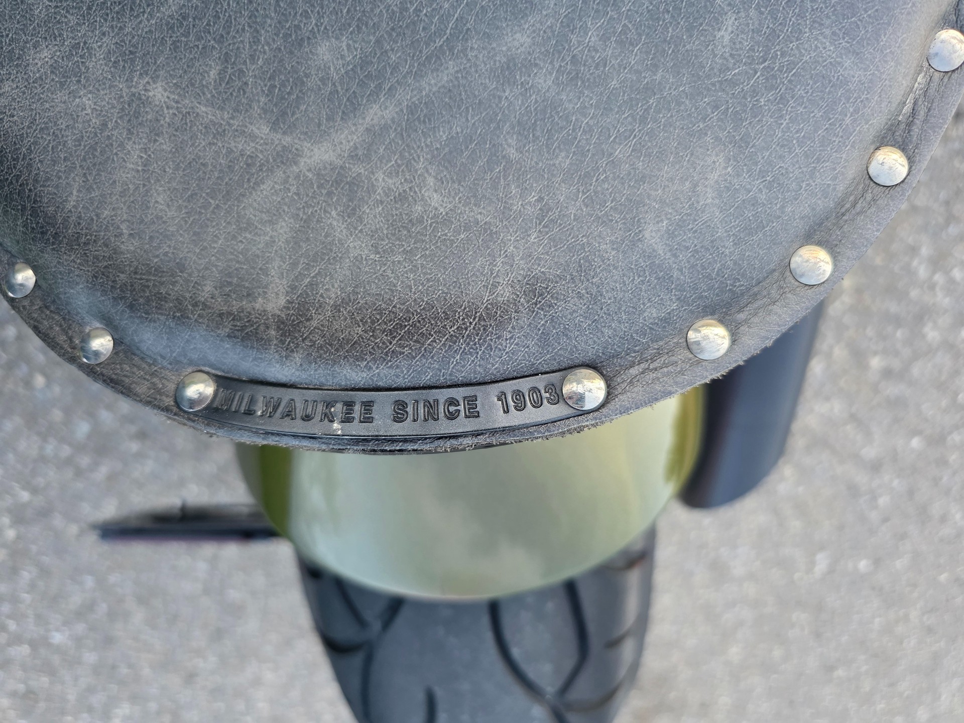 HARLEY-DAVIDSON SLIM S Bündnerbike Umbau-image-6