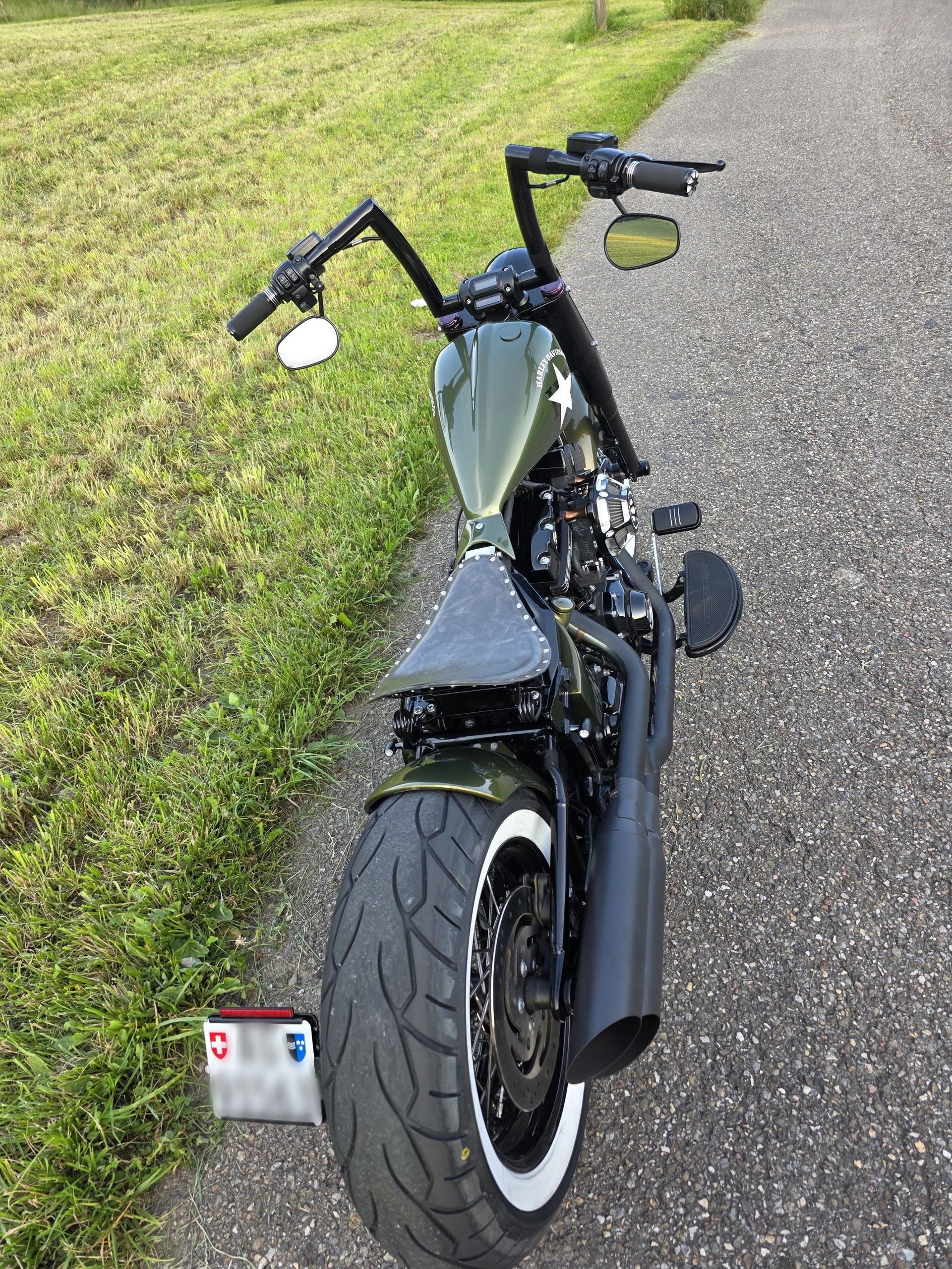 HARLEY-DAVIDSON SLIM S Bündnerbike Umbau-image-7