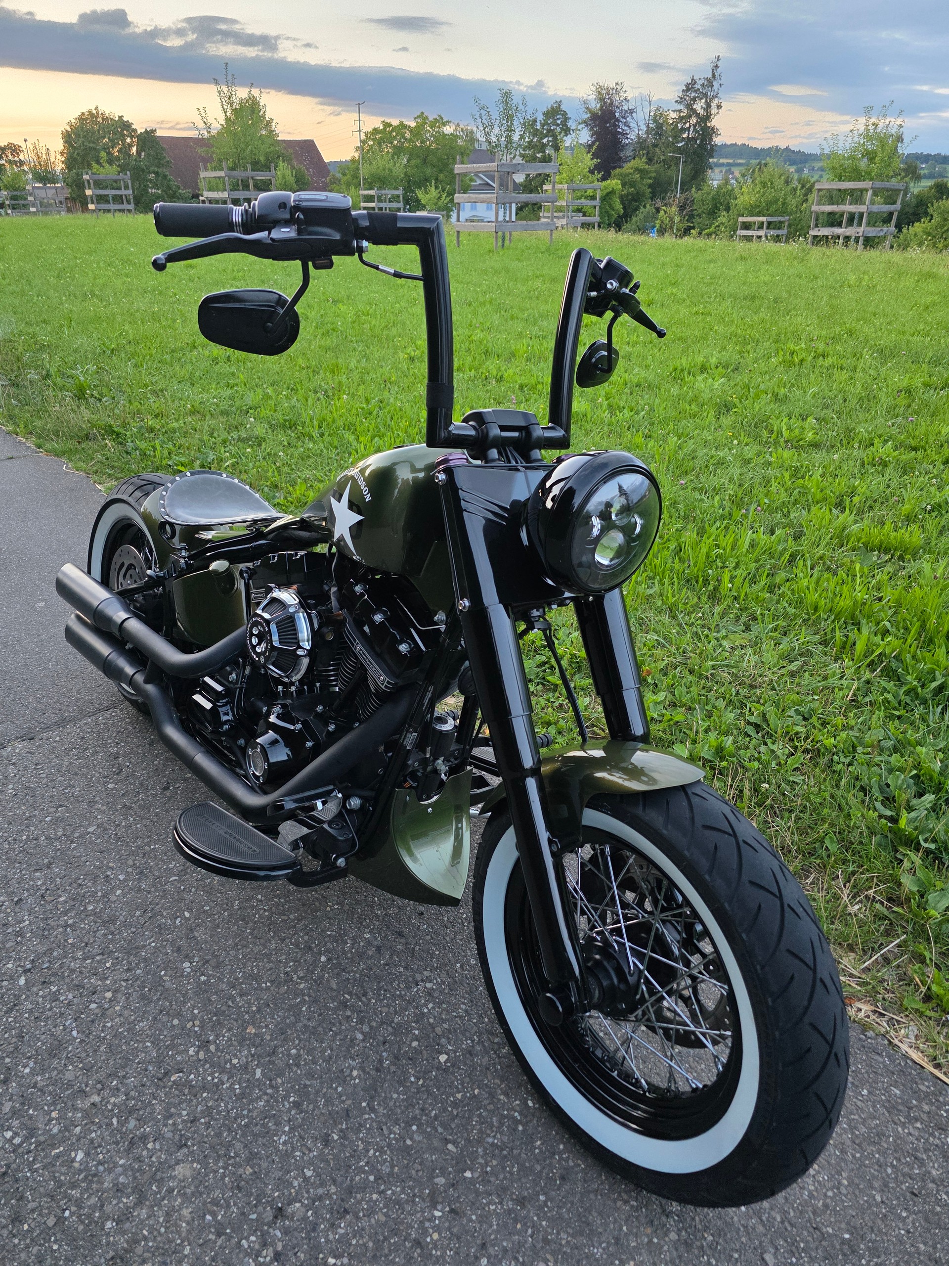 HARLEY-DAVIDSON SLIM S Bündnerbike Umbau-image-5