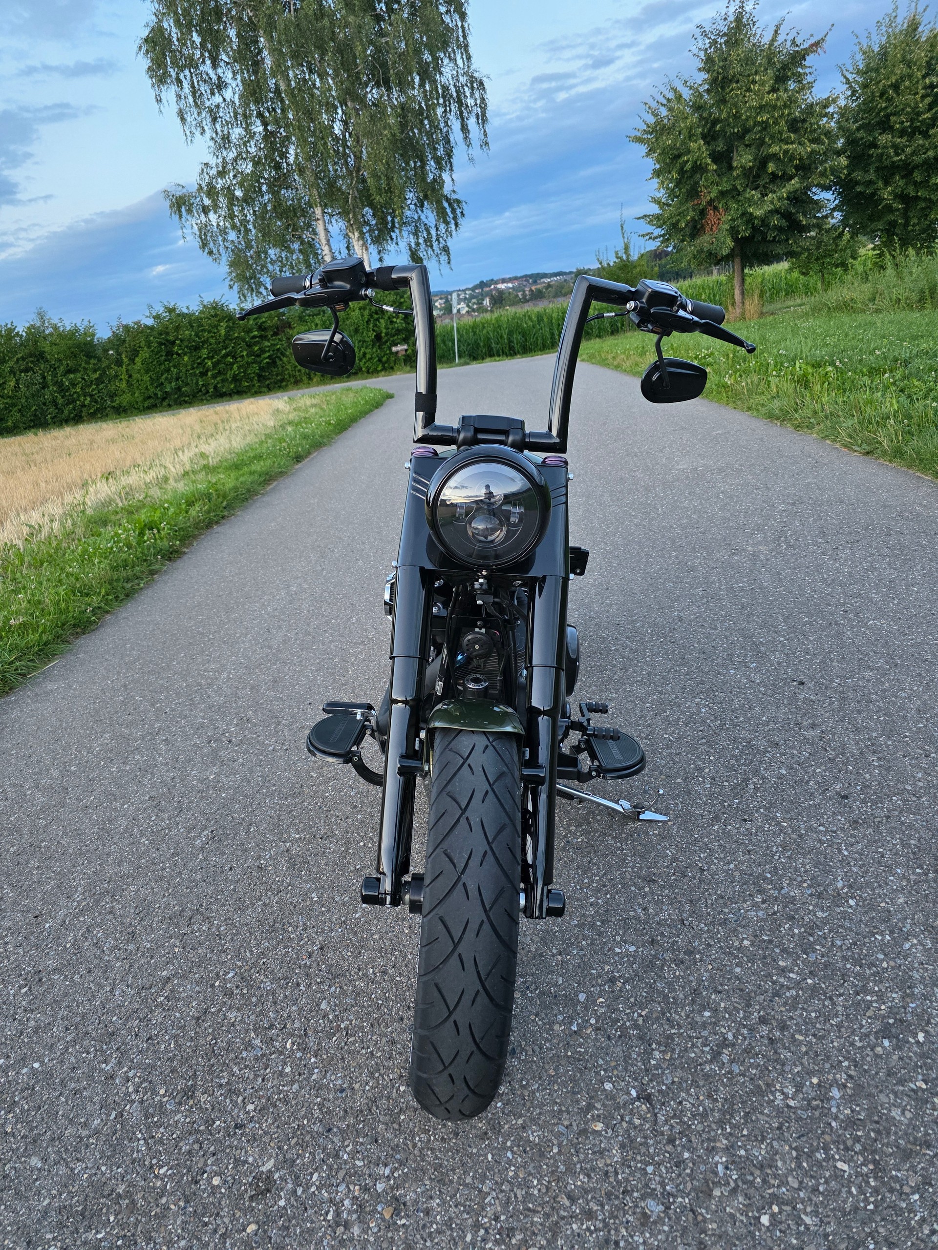 HARLEY-DAVIDSON SLIM S Bündnerbike Umbau-image-2