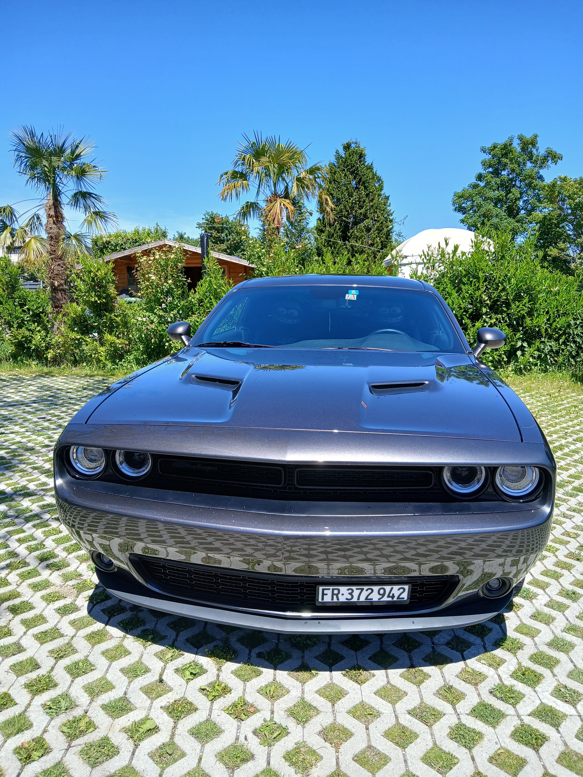 DODGE Challenger SXT 3.6-image-13