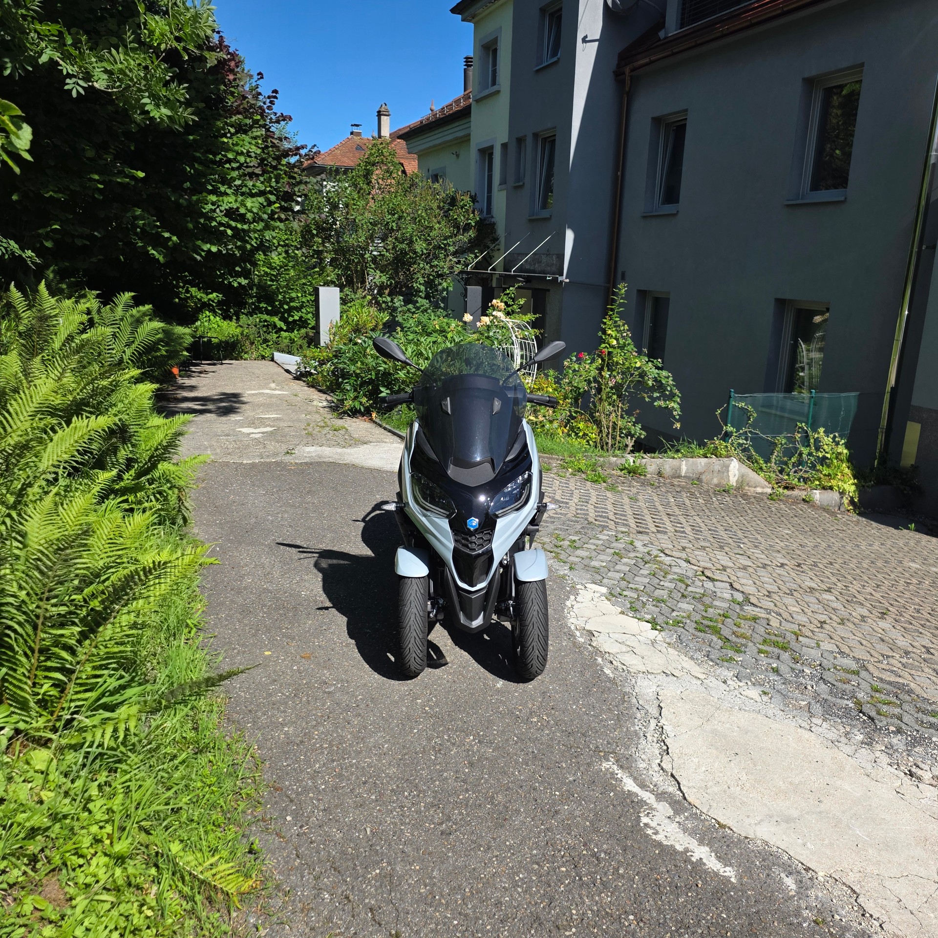 PIAGGIO S 310 ccm-image-0