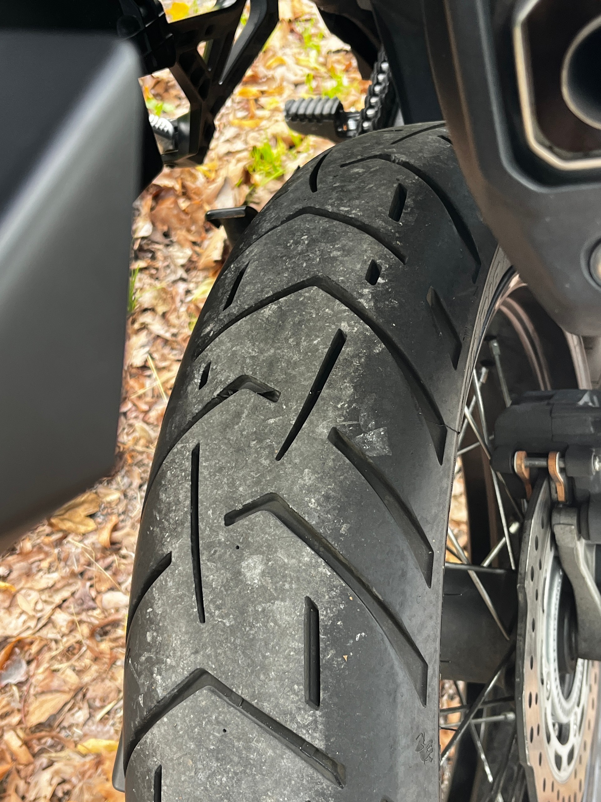 HONDA CRF 1000AD DTC Africa Twin-image-6