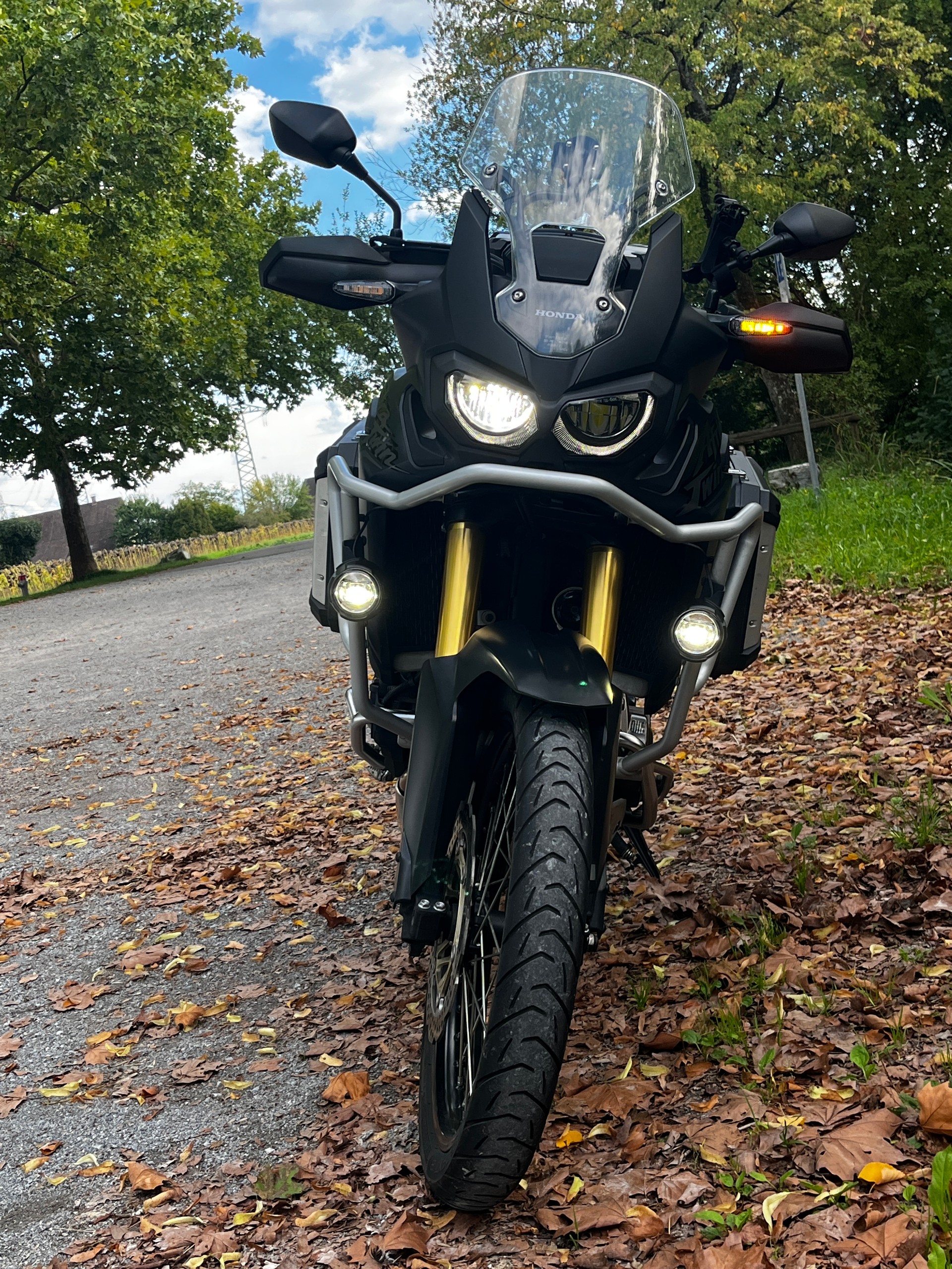 HONDA CRF 1000AD DTC Africa Twin-image-3
